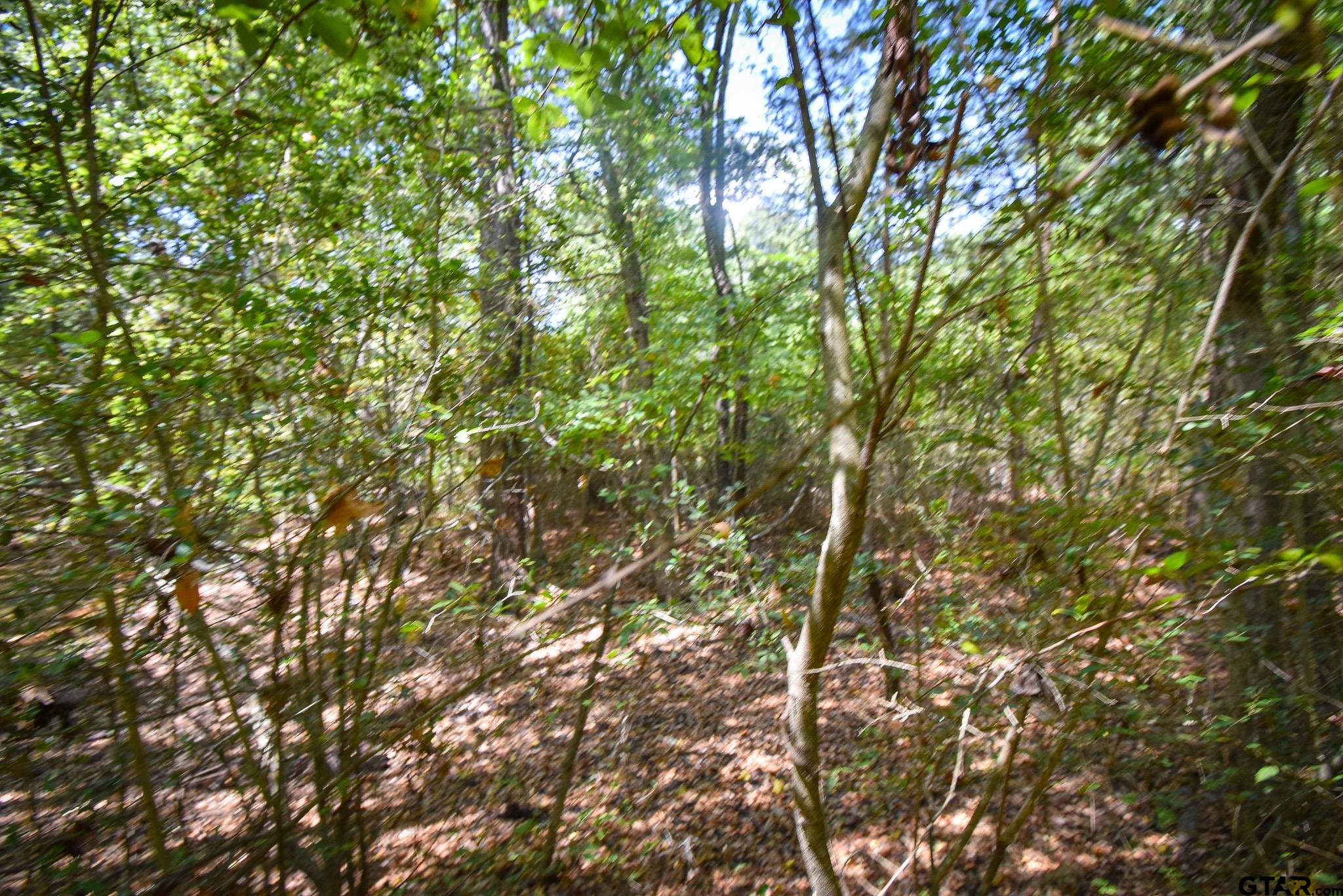 Tbd Cr 333 Property Photo 4