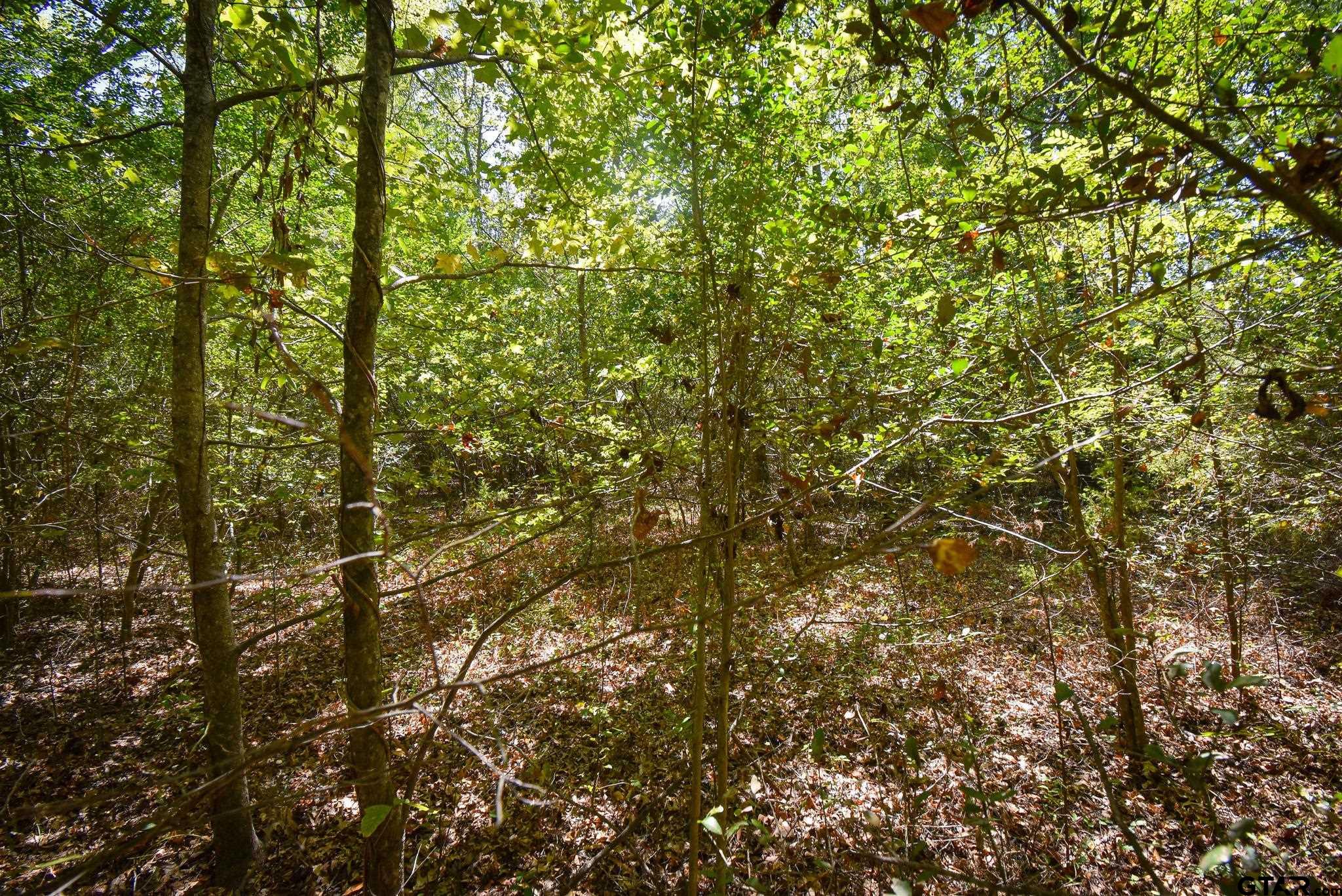 Tbd Cr 333 Property Photo 5