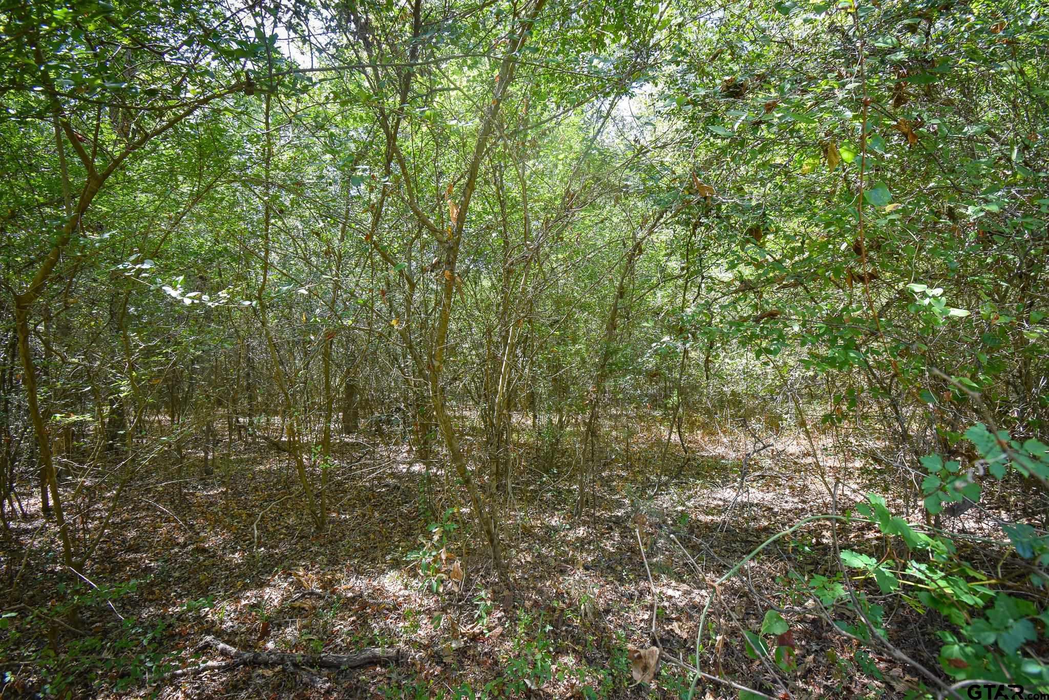 Tbd Cr 333 Property Photo 6