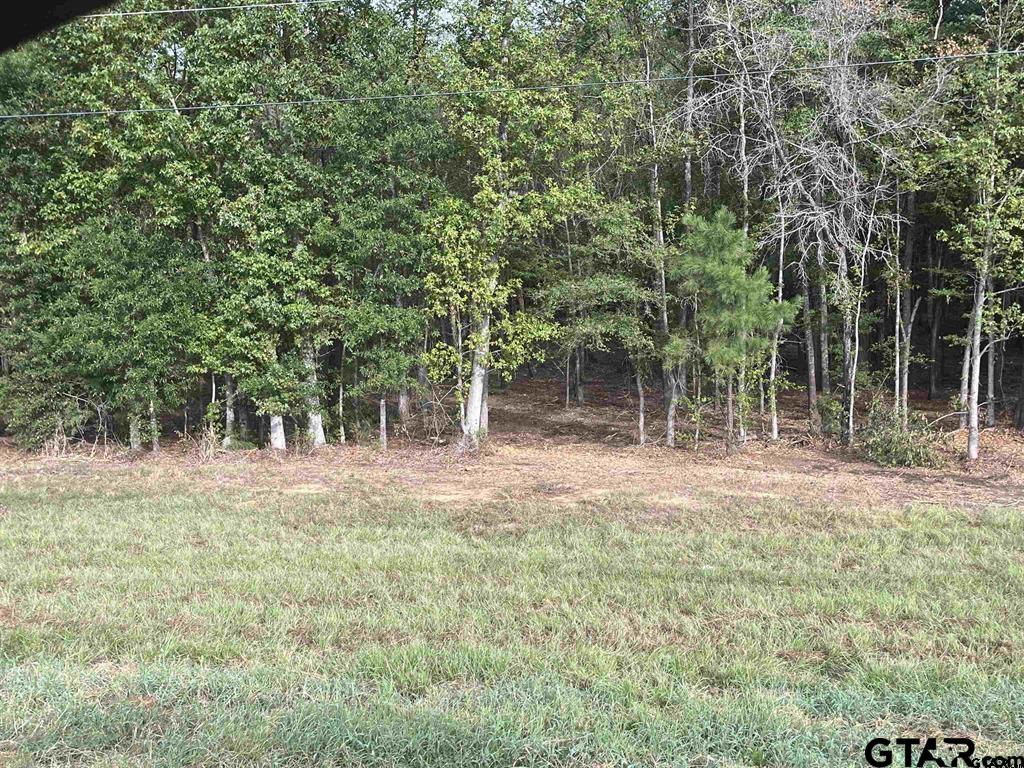 Tbd State Highway 155 Property Photo 2