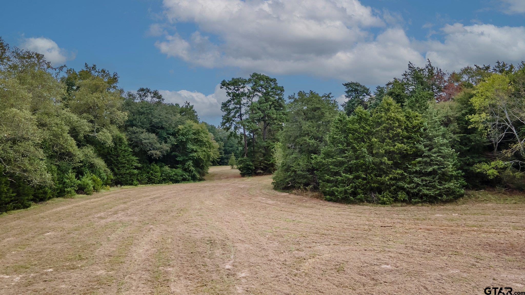 Tbd C R 3516 Property Photo 5