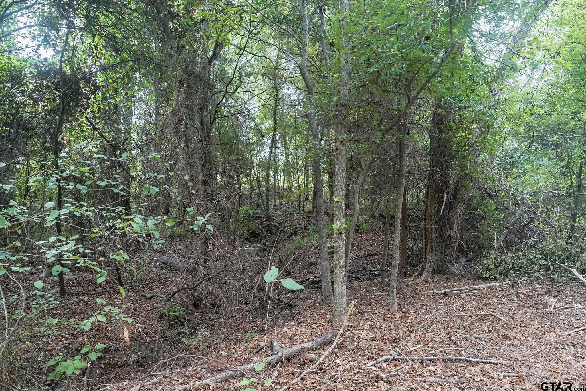 Tbd C R 3516 Property Photo 12