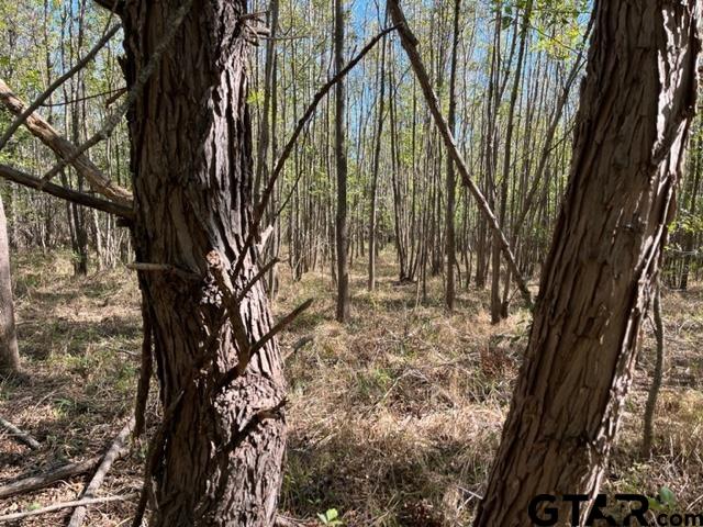 3300 Vz County Road 1903 Property Photo 6