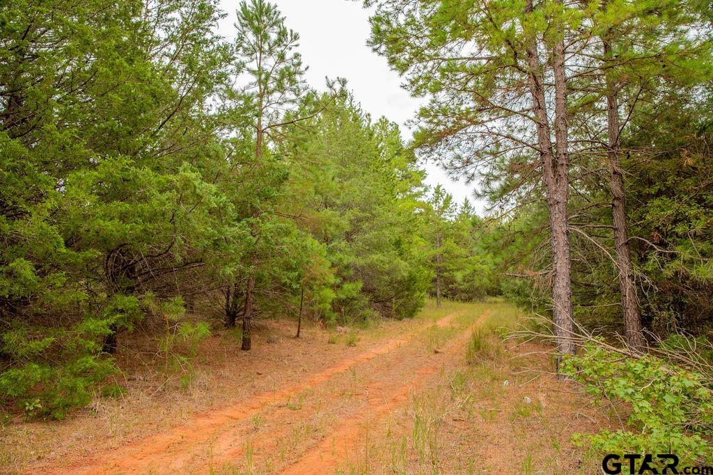 16092 Cr 440 Property Photo 1