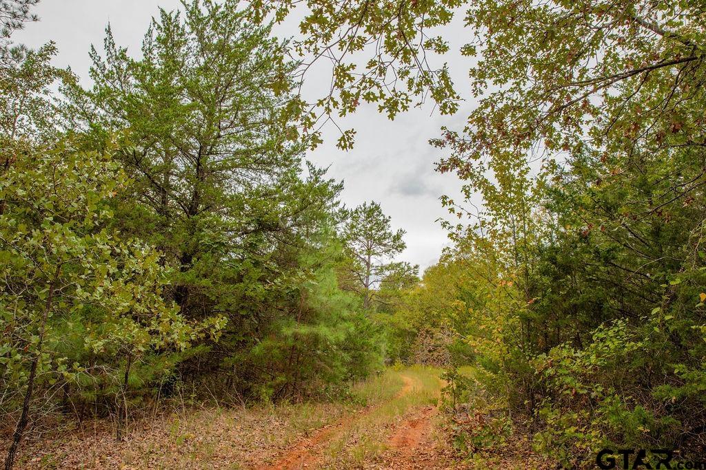16092 Cr 440 Property Photo 5