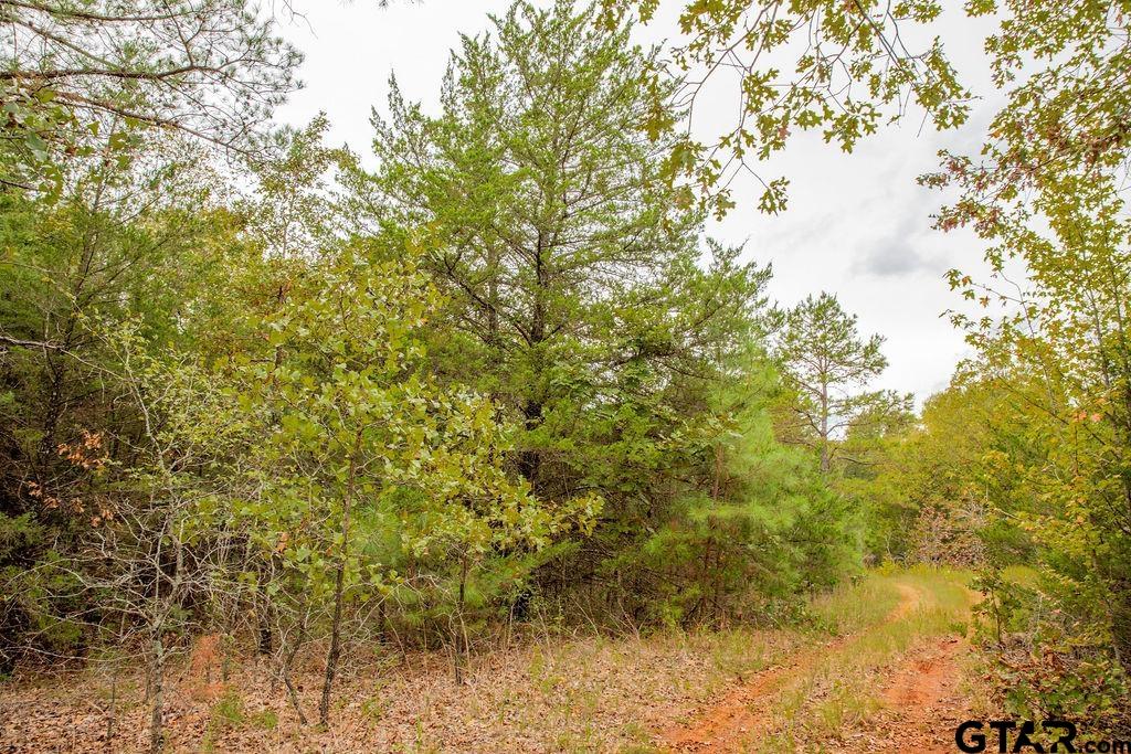 16092 Cr 440 Property Photo 6