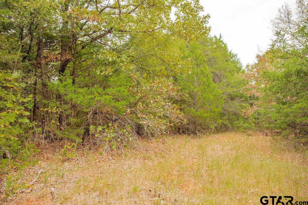16092 Cr 440 Property Photo 8