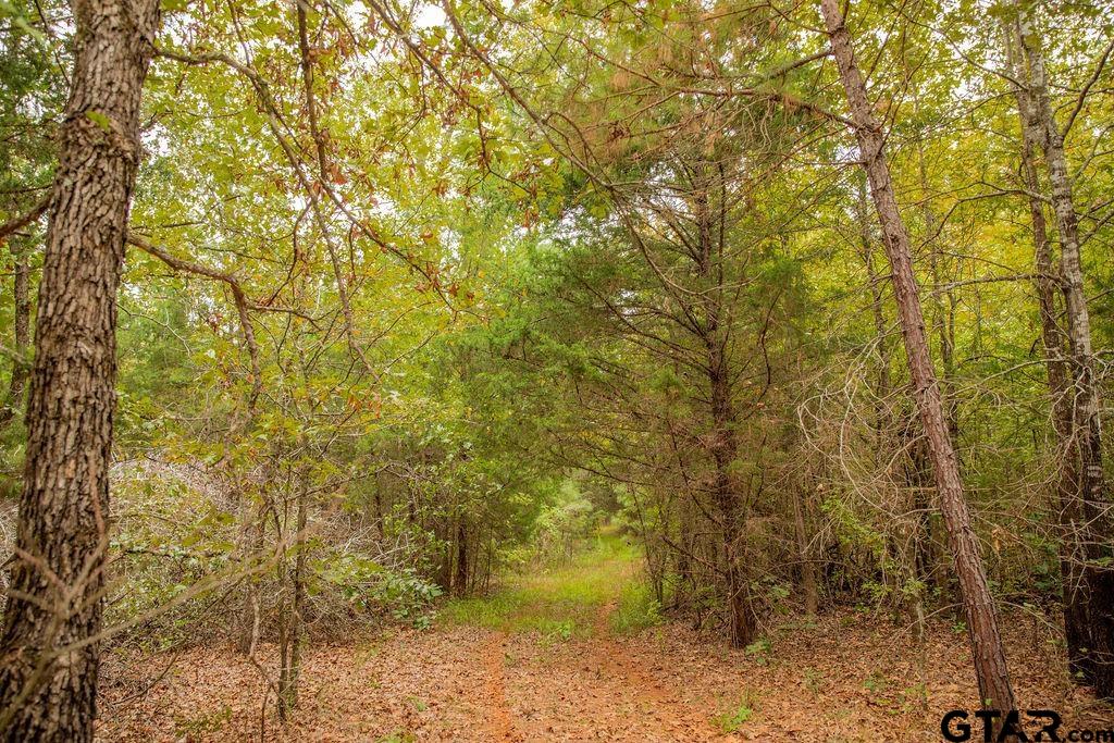 16092 Cr 440 Property Photo 10