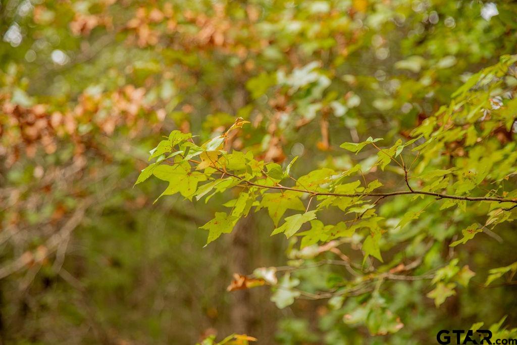 16092 Cr 440 Property Photo 11