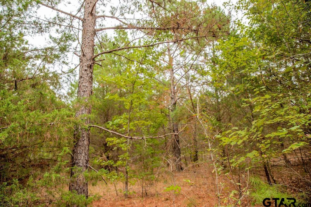 16092 Cr 440 Property Photo 13