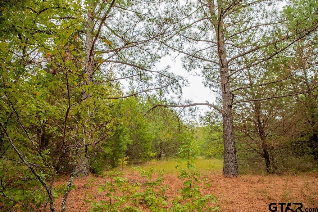 16092 Cr 440 Property Photo 14