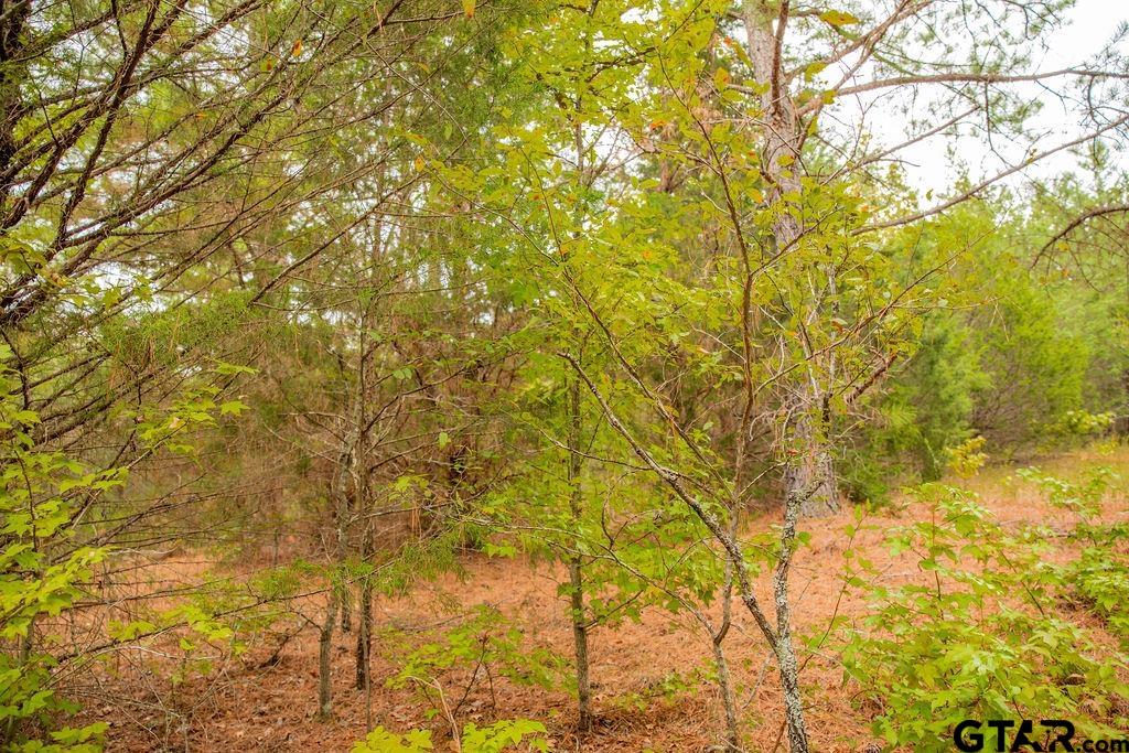 16092 Cr 440 Property Photo 15