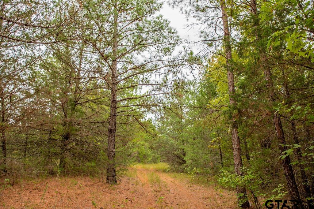16092 Cr 440 Property Photo 16