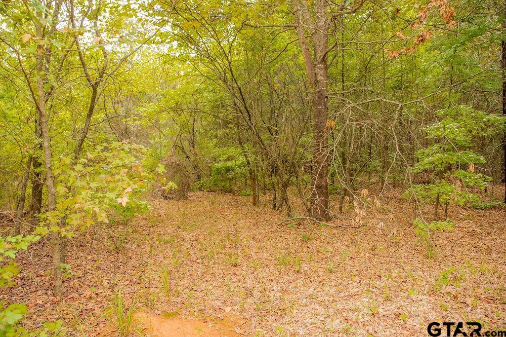 16092 Cr 440 Property Photo 17