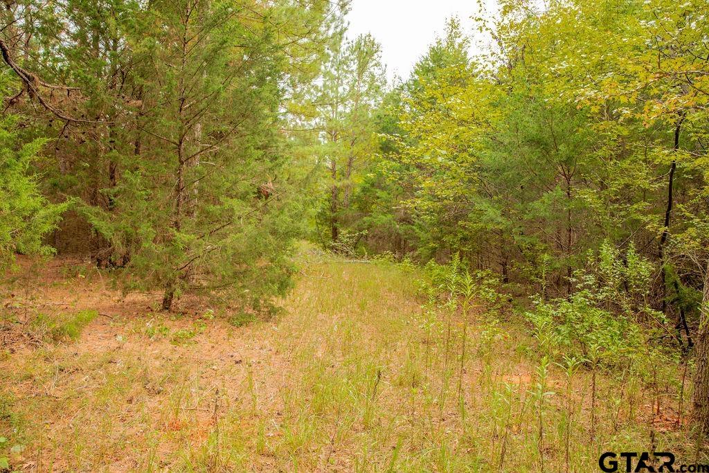 16092 Cr 440 Property Photo 18