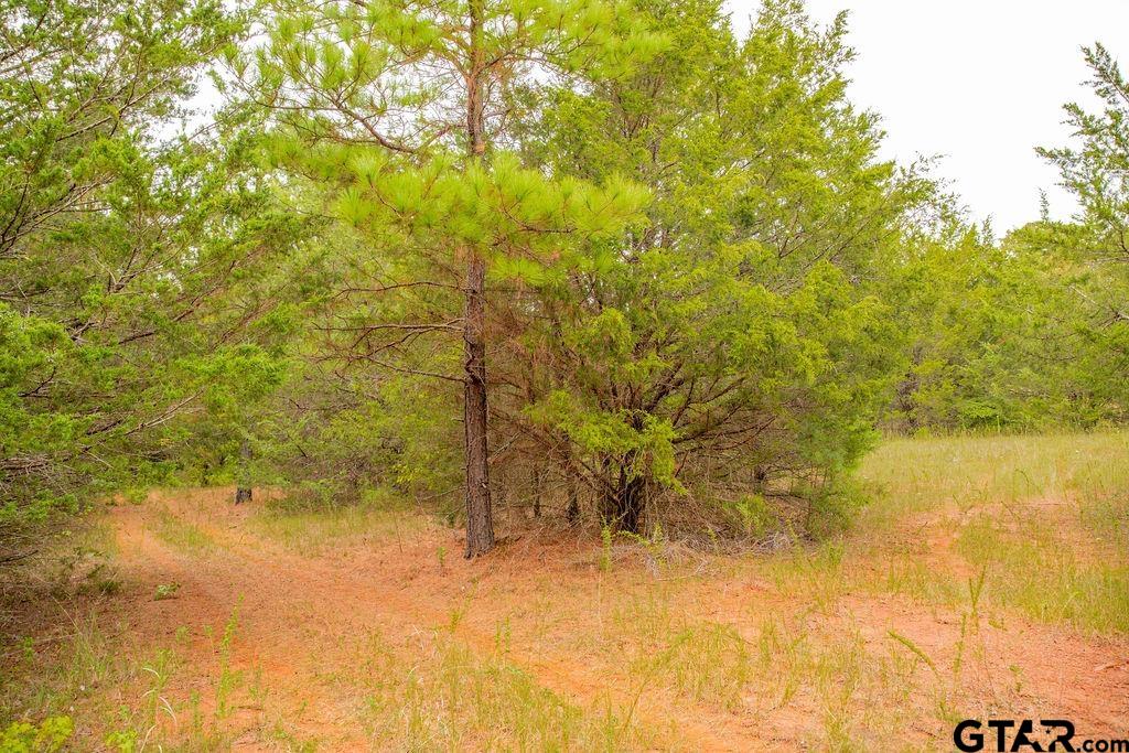 16092 Cr 440 Property Photo 19