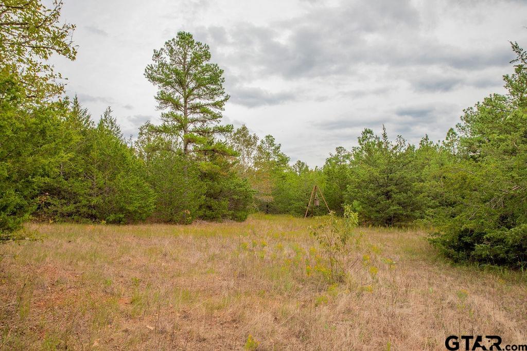 16092 Cr 440 Property Photo 20