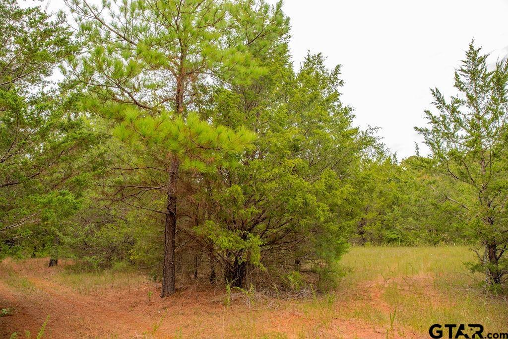 16092 Cr 440 Property Photo 21