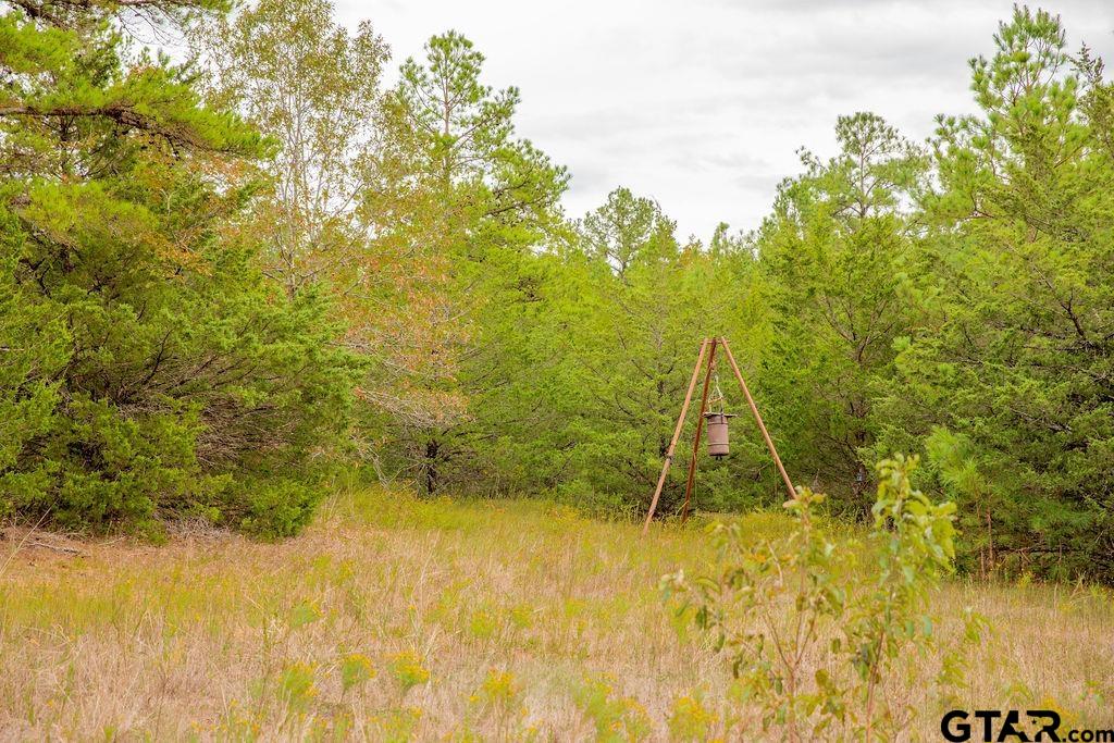 16092 Cr 440 Property Photo 22