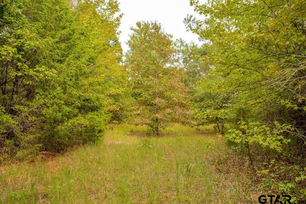 16092 Cr 440 Property Photo 23