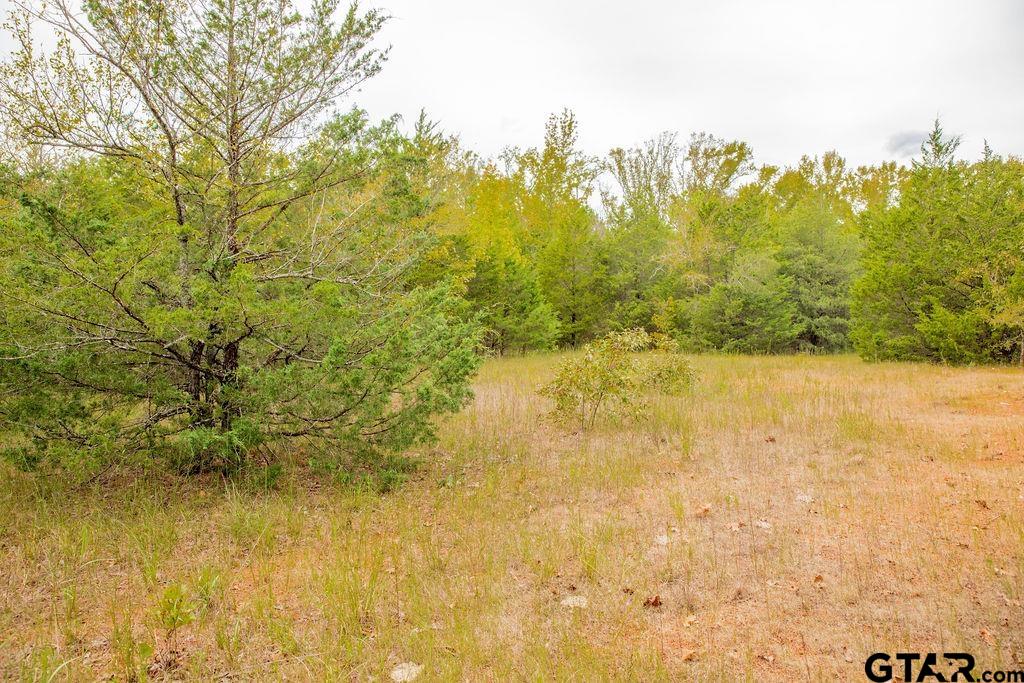 16092 Cr 440 Property Photo 26
