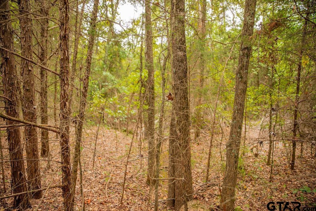 16092 Cr 440 Property Photo 34