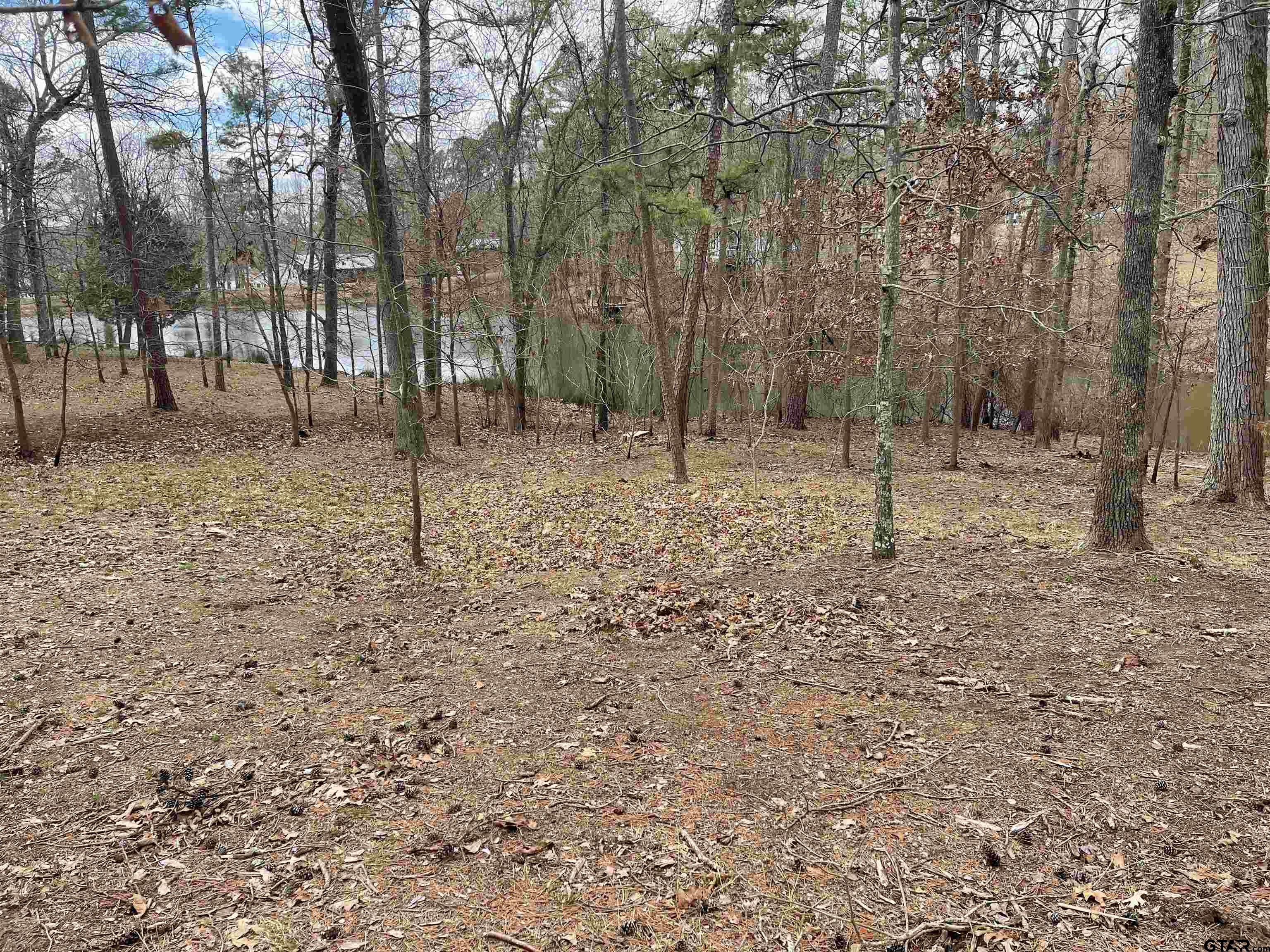 Tbd King Thomas Drive Property Photo 3