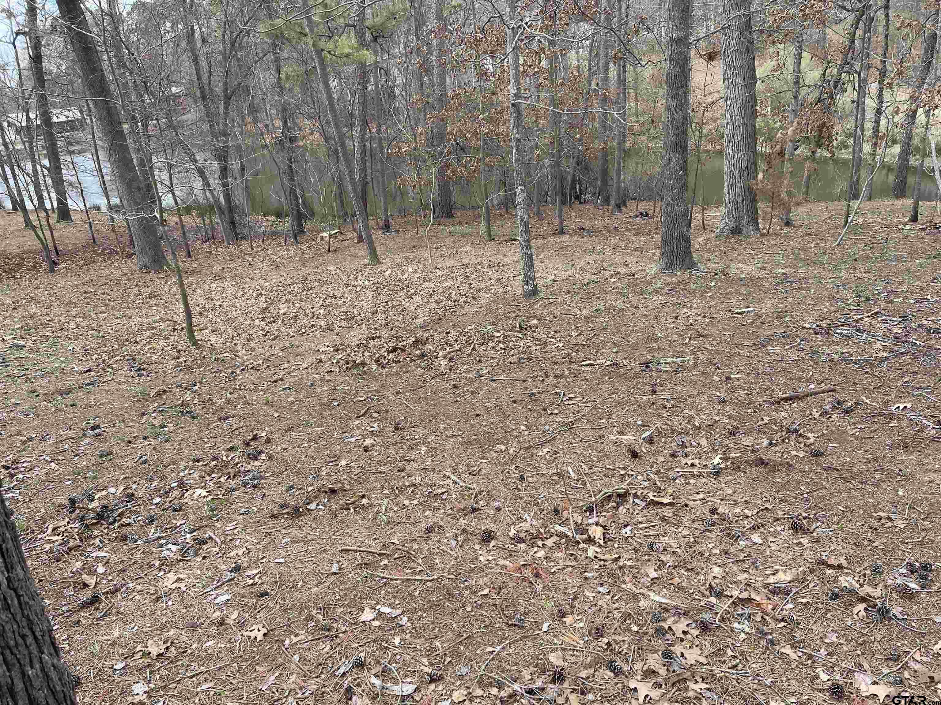 Tbd King Thomas Drive Property Photo 4