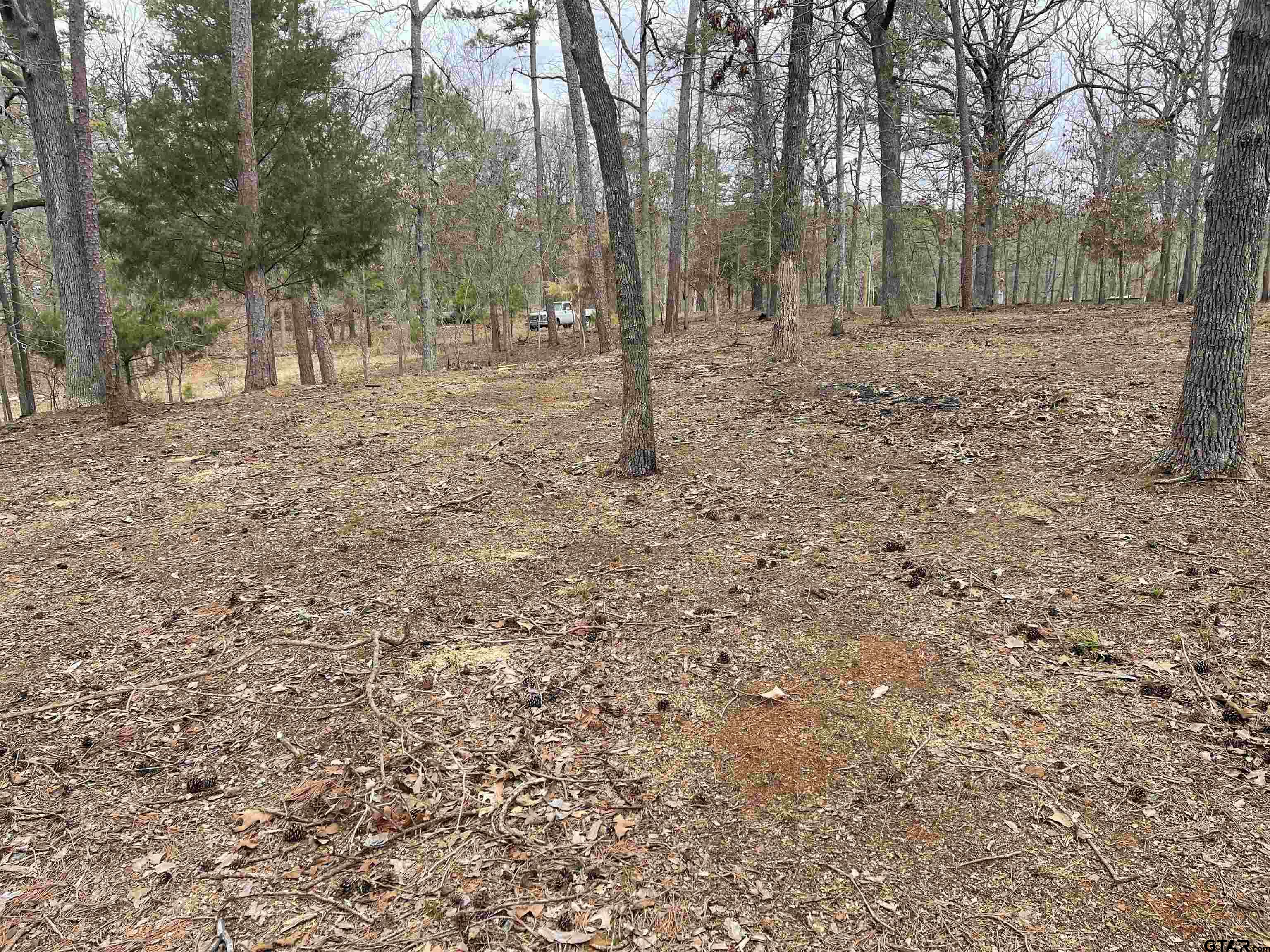 Tbd King Thomas Drive Property Photo 5