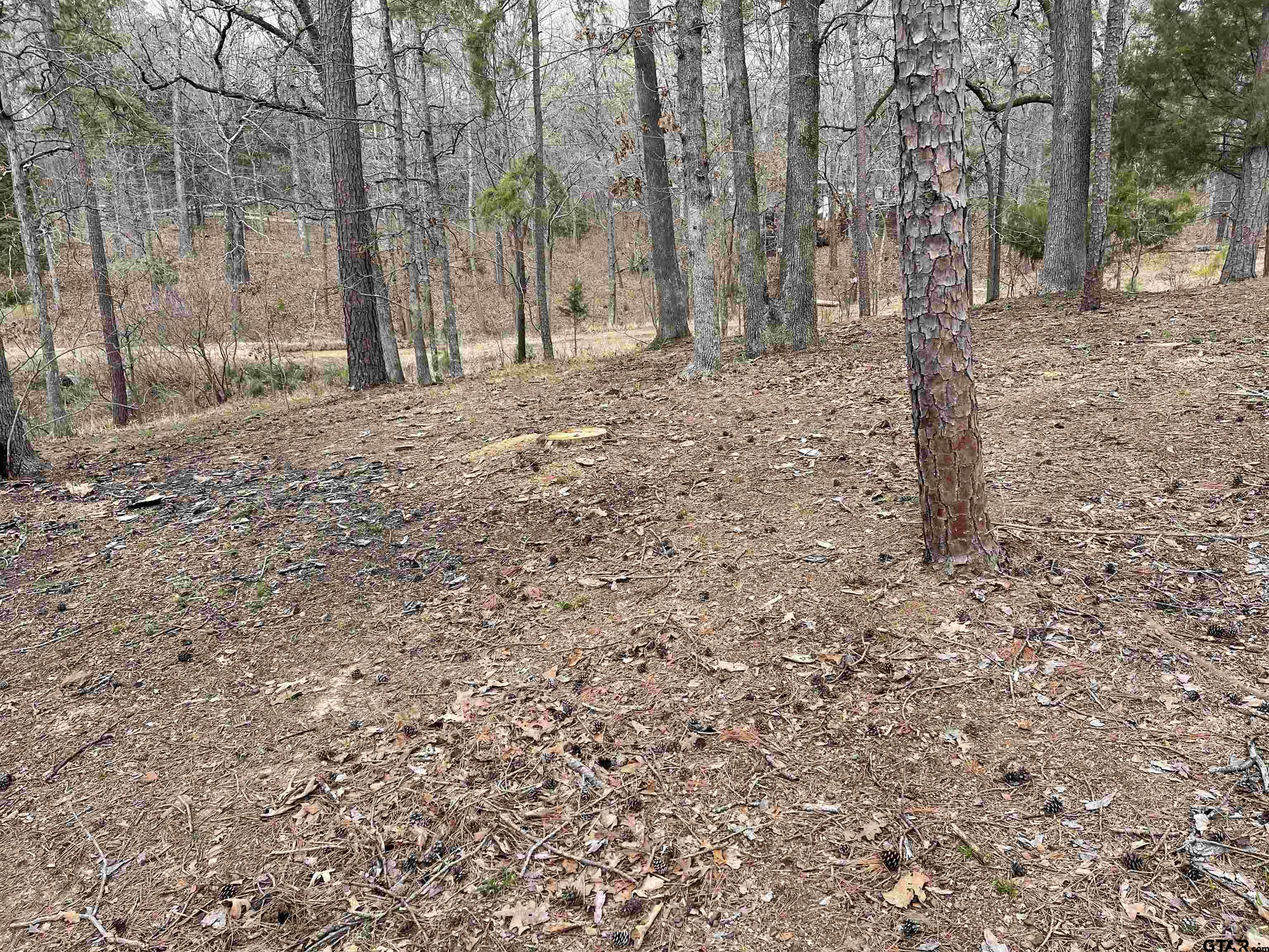 Tbd King Thomas Drive Property Photo 6