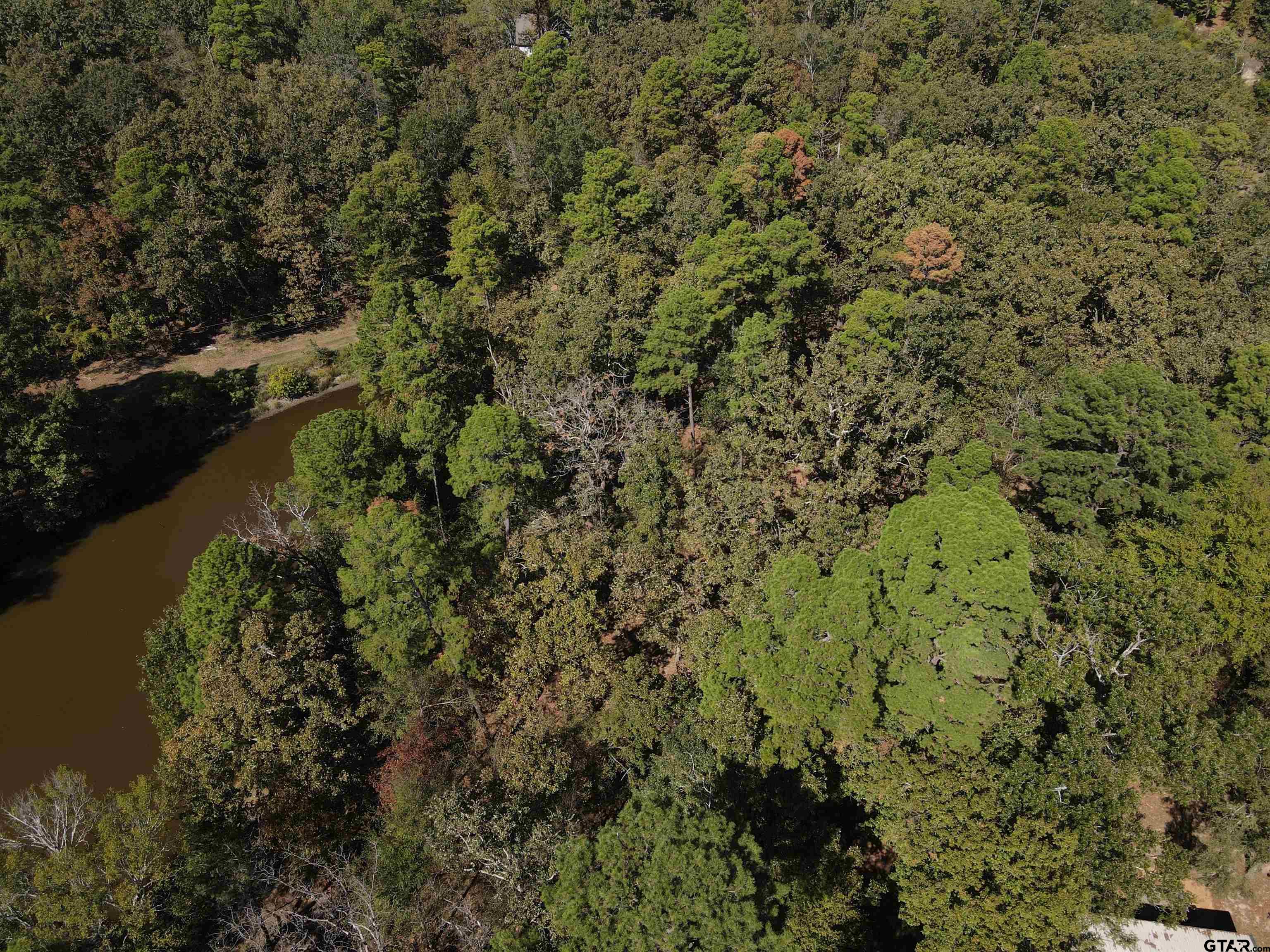 Tbd King Thomas Drive Property Photo 8