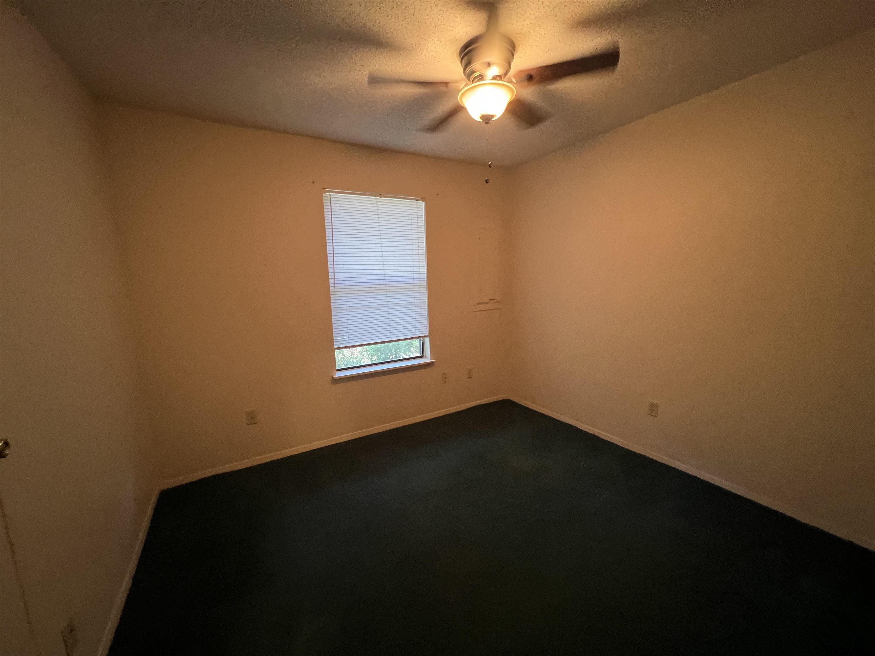 17415 County Road 1263 Property Photo 7