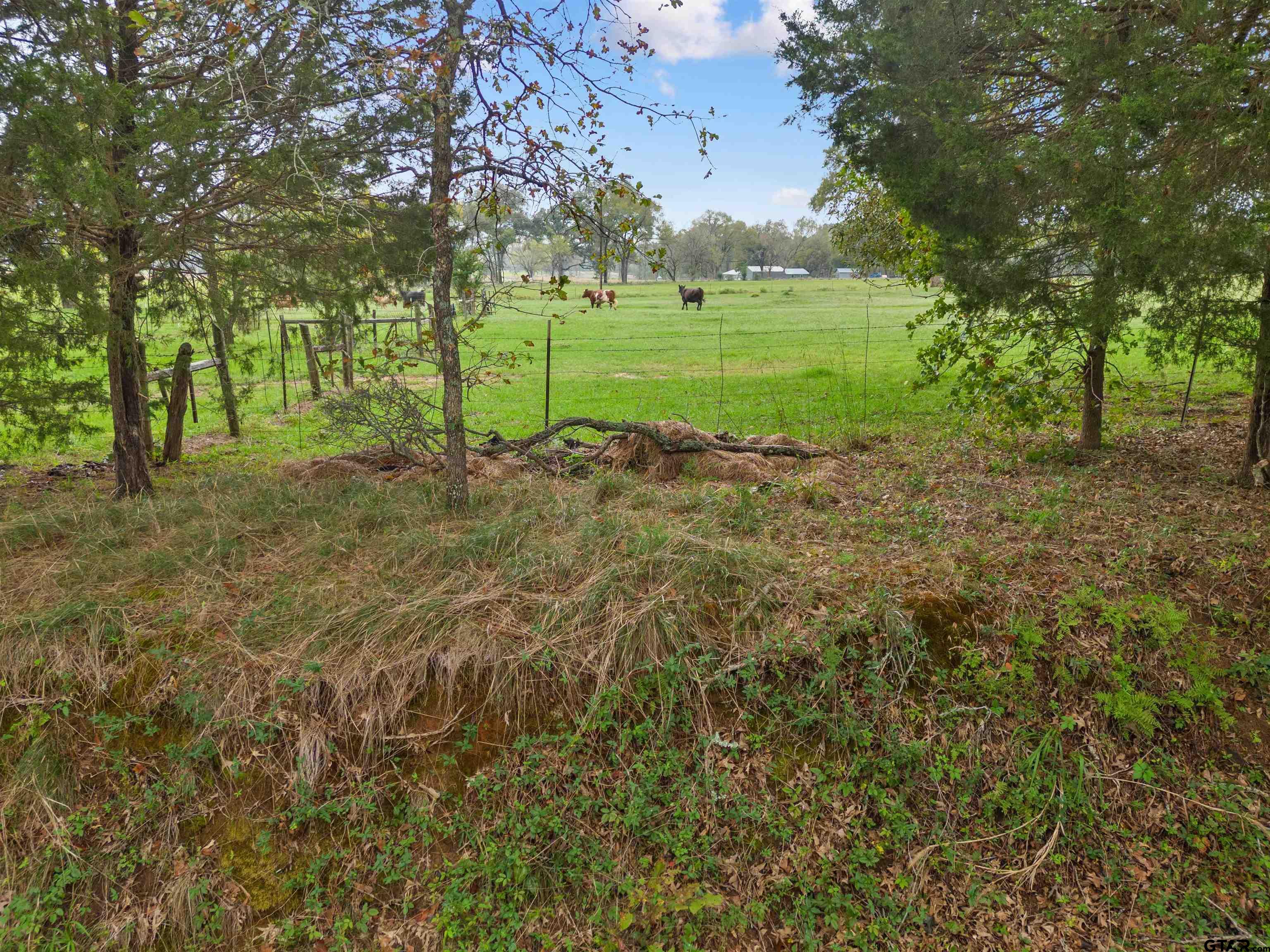 Tbd Cr 436 Property Photo 9