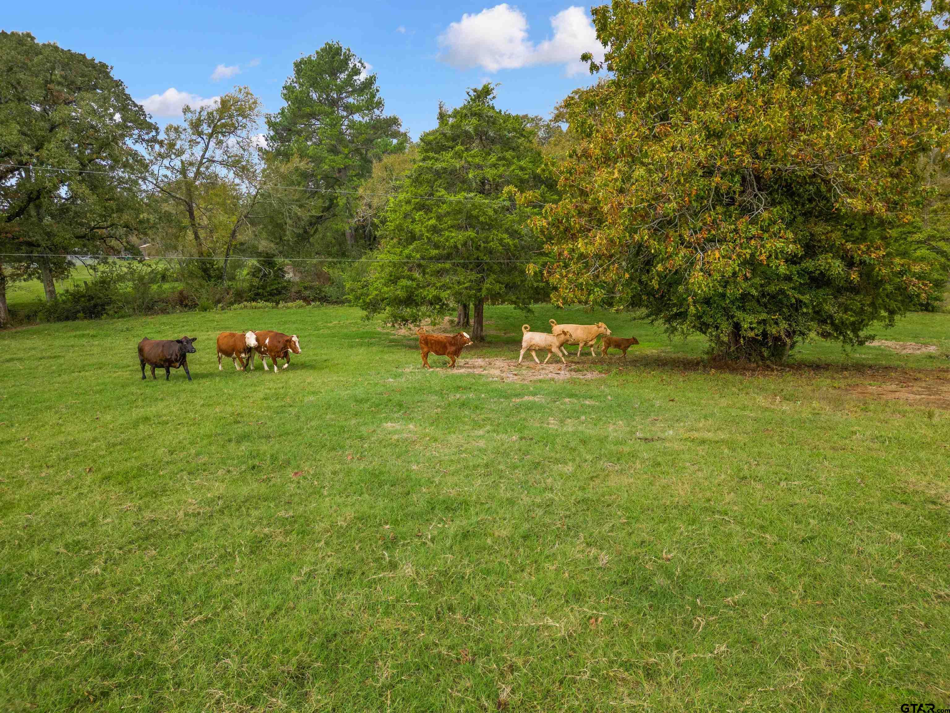 Tbd Cr 436 Property Photo 10