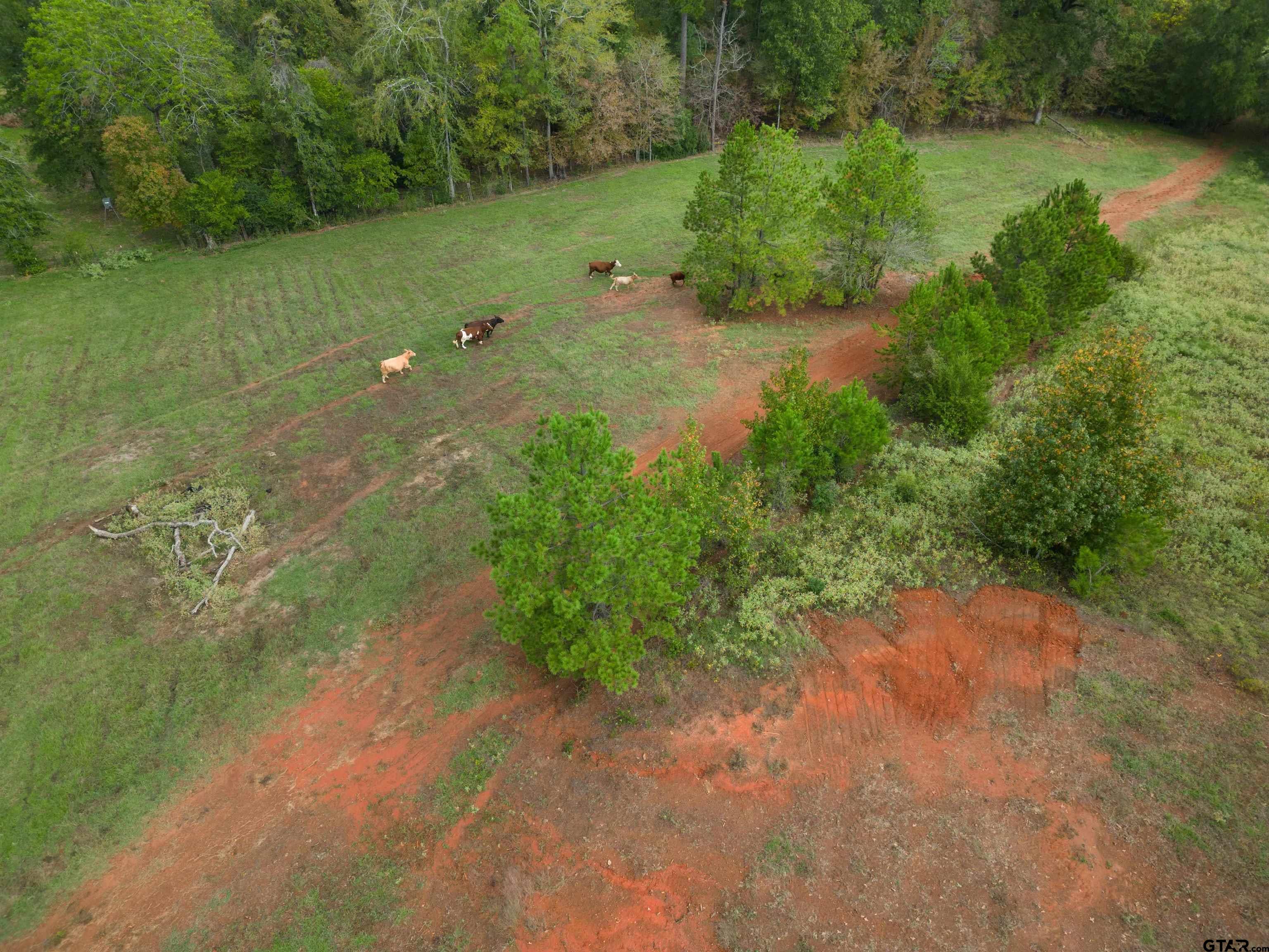 Tbd Cr 436 Property Photo 11