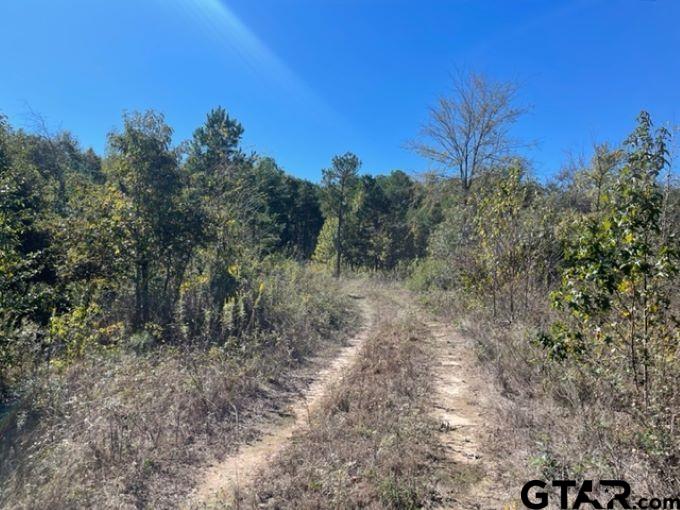 Tbd U.s. Hwy 259 Property Photo 7