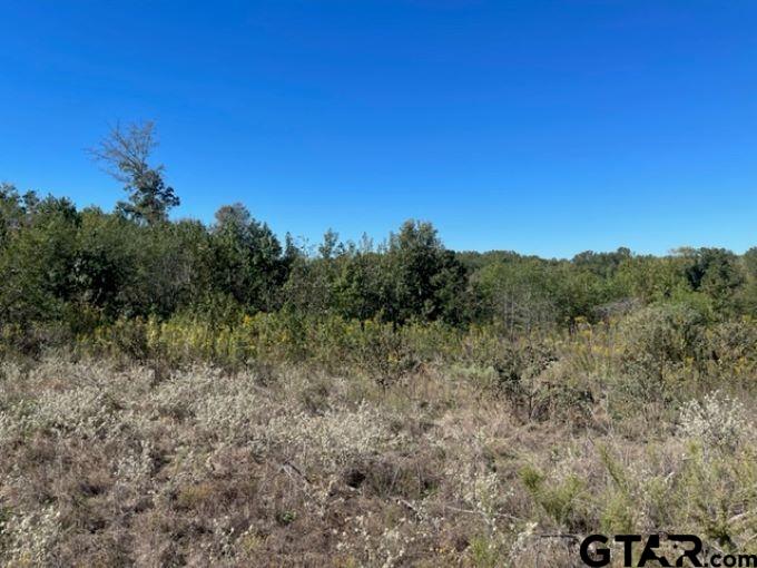 Tbd U.s. Hwy 259 Property Photo 8