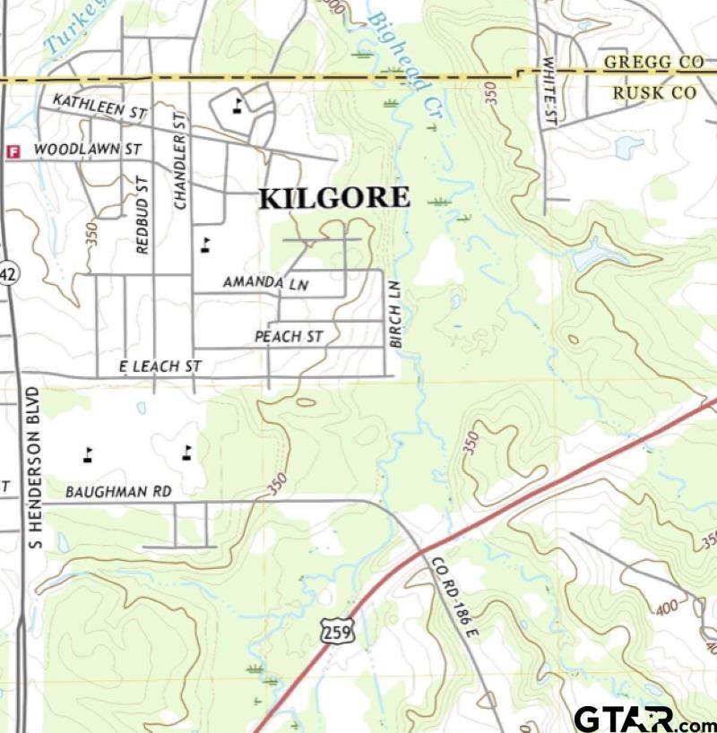 Tbd U.s. Hwy 259 Property Photo 11