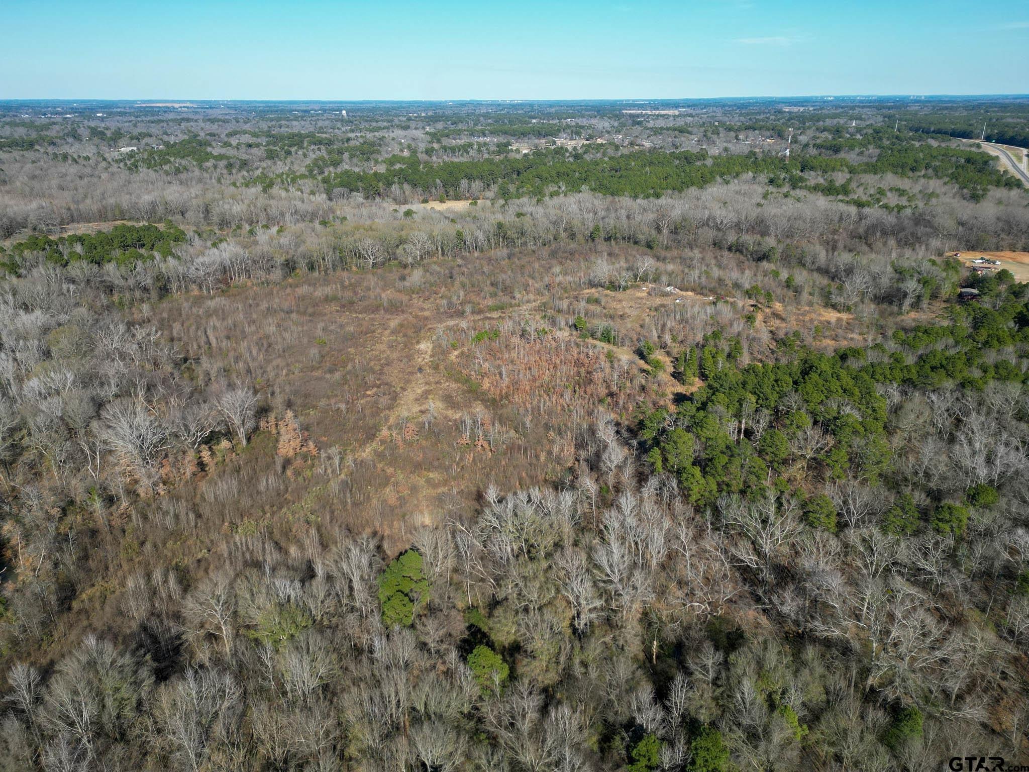 Tbd U.s. Hwy 259 Property Photo 13