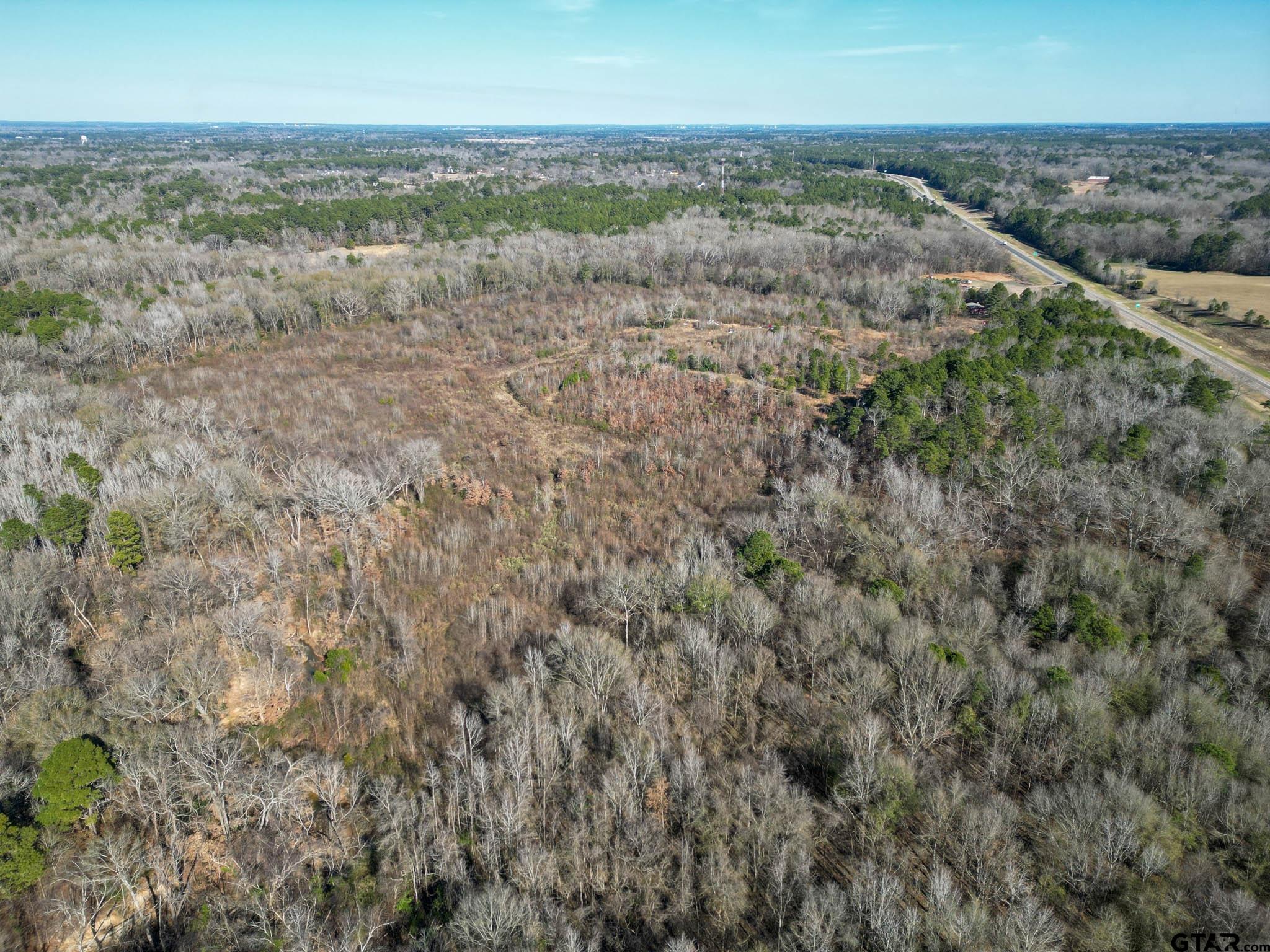 Tbd U.s. Hwy 259 Property Photo 14
