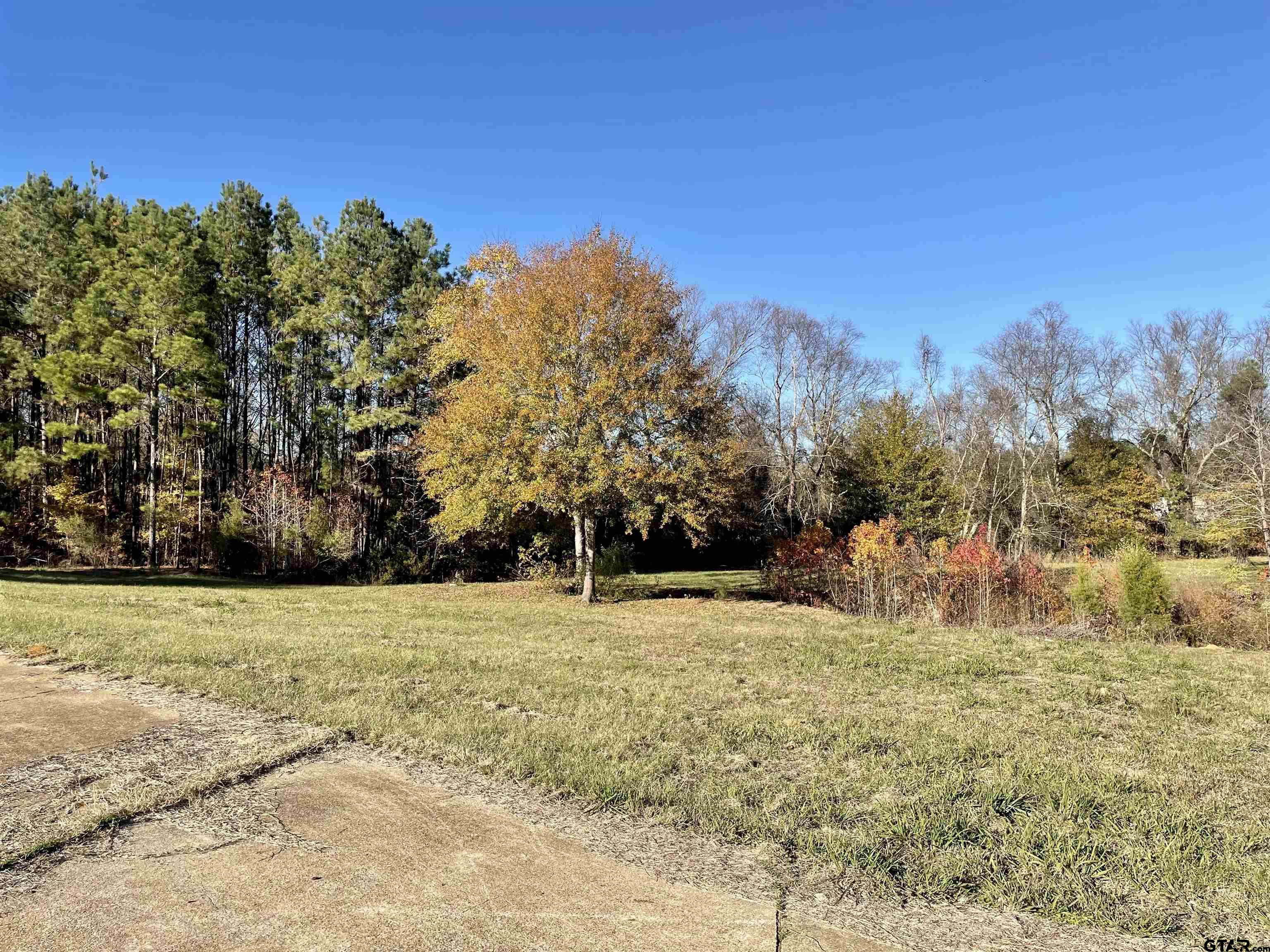 18160 Cr 4225 Property Photo 11