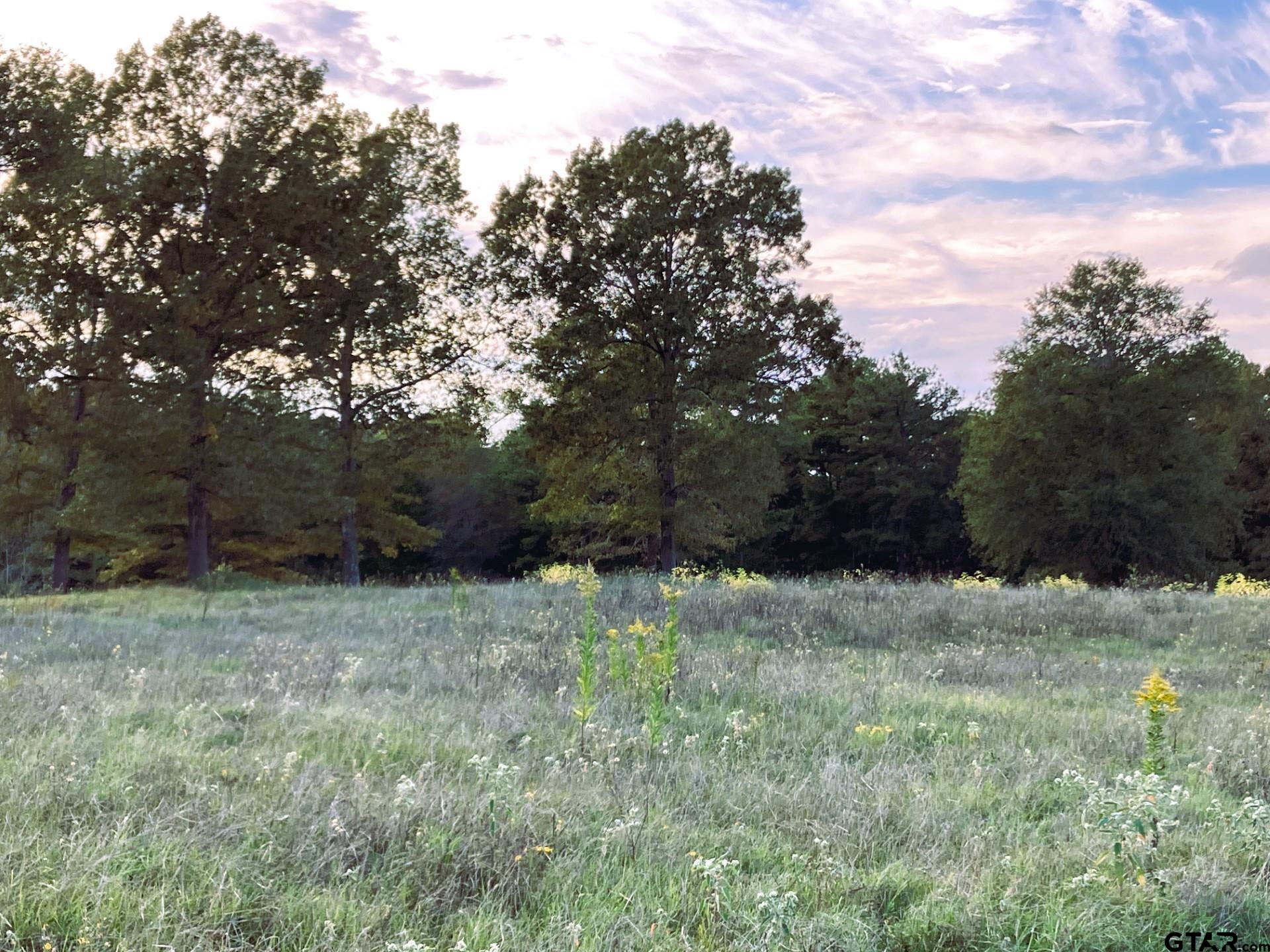Lot 35 White Oak Creek Ranch Property Photo 1