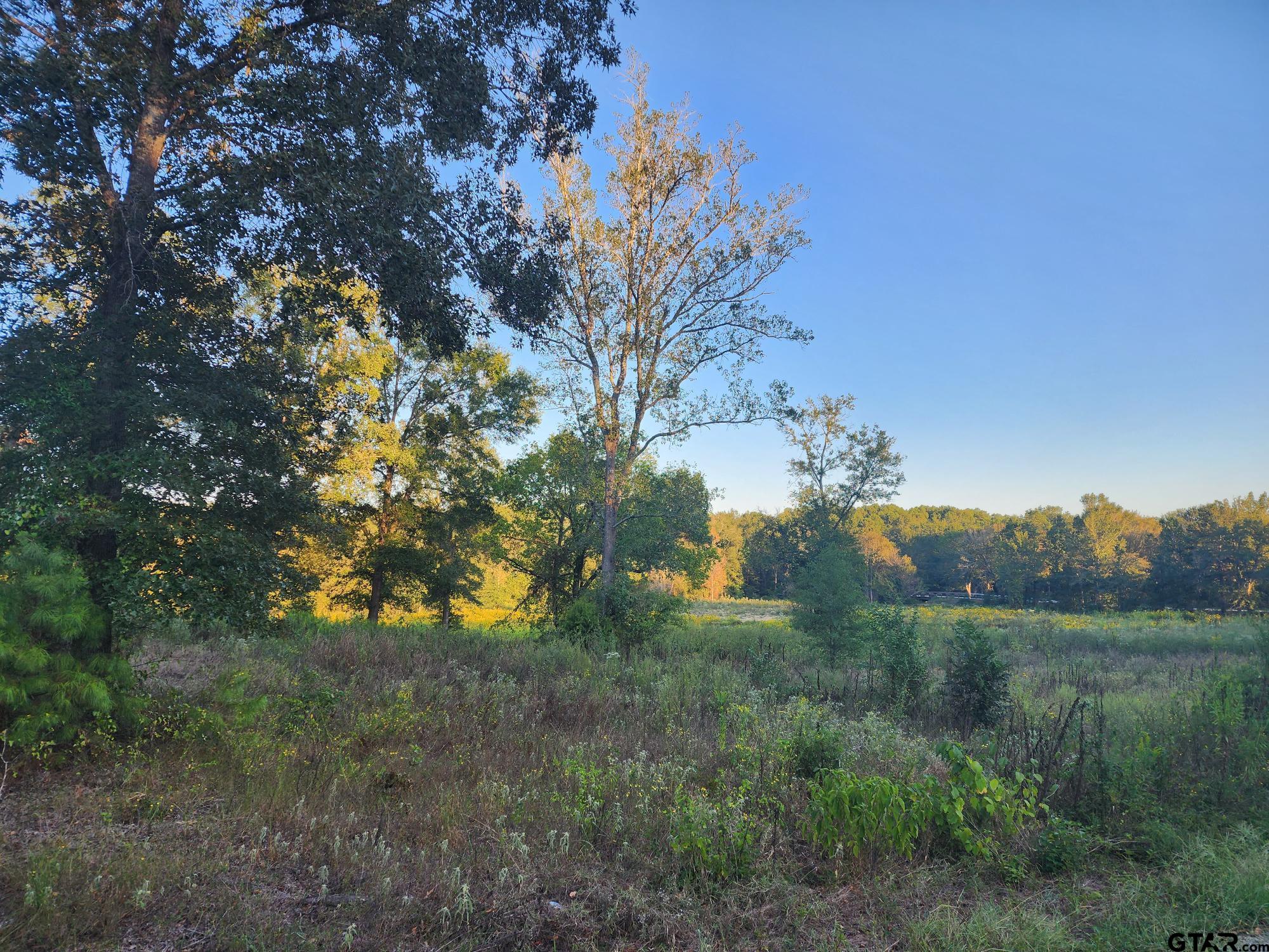 200 Mustang Dr Property Photo 2