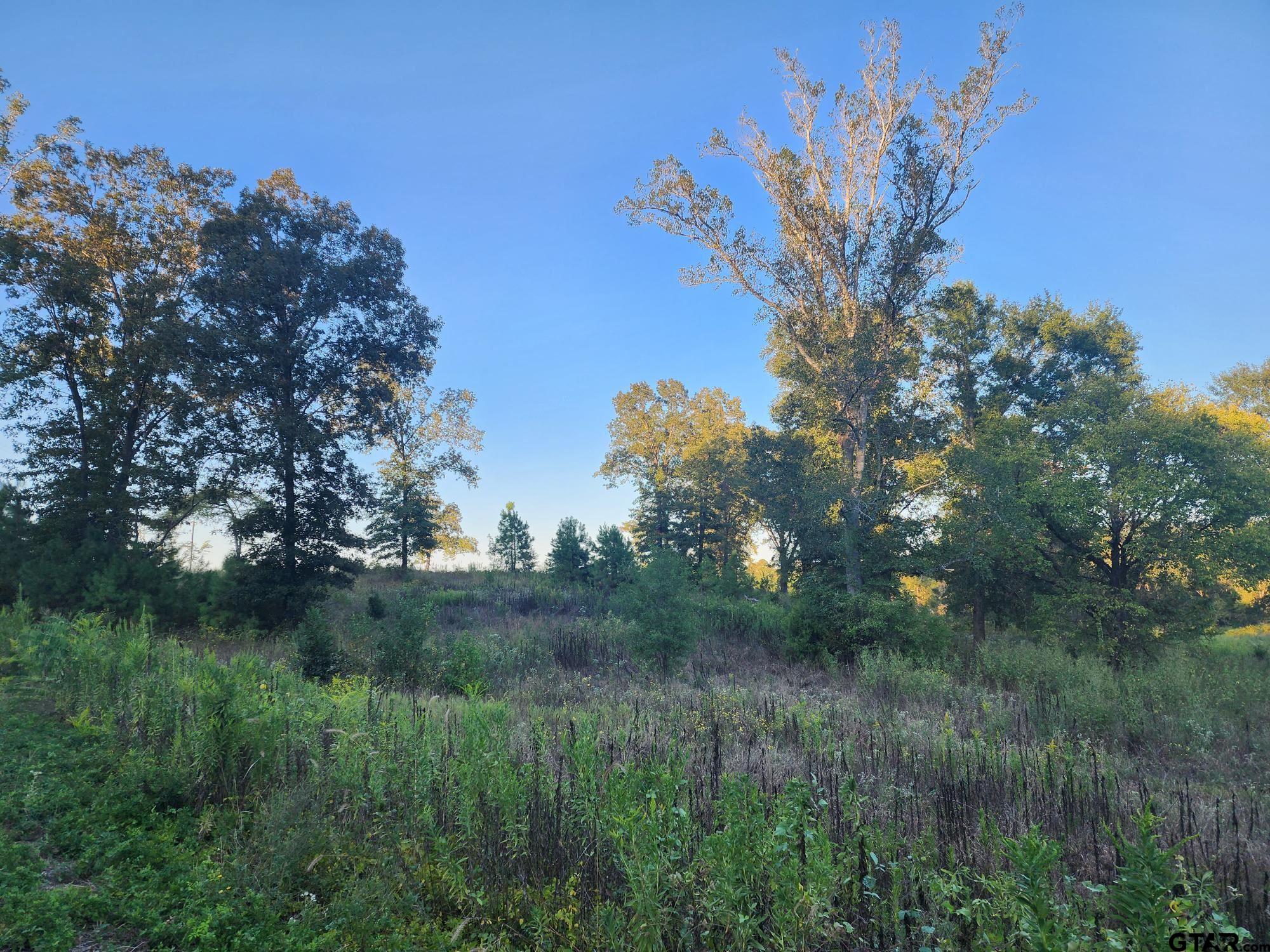 200 Mustang Dr Property Photo 3