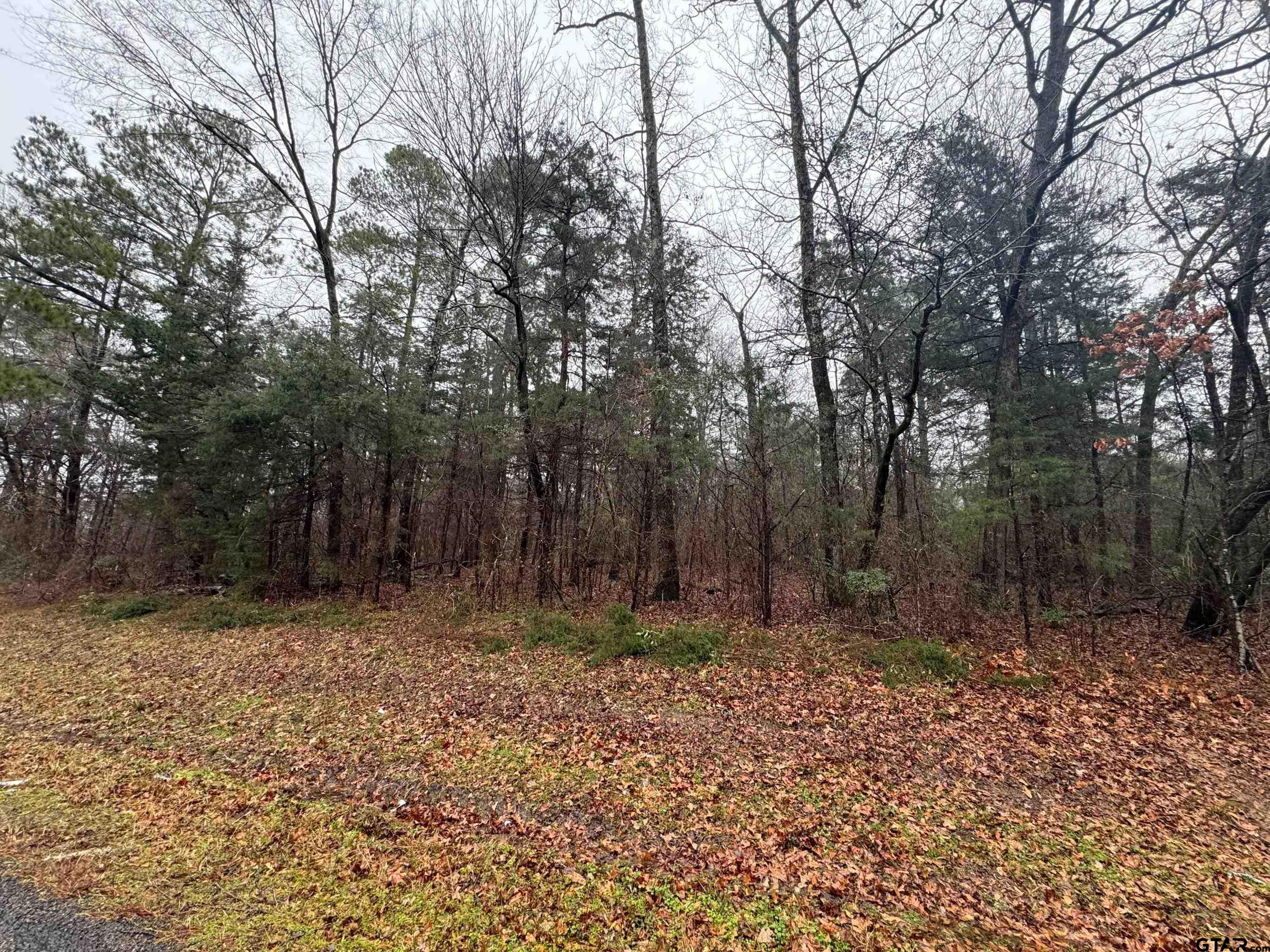 Tbd Fm 856 Property Photo