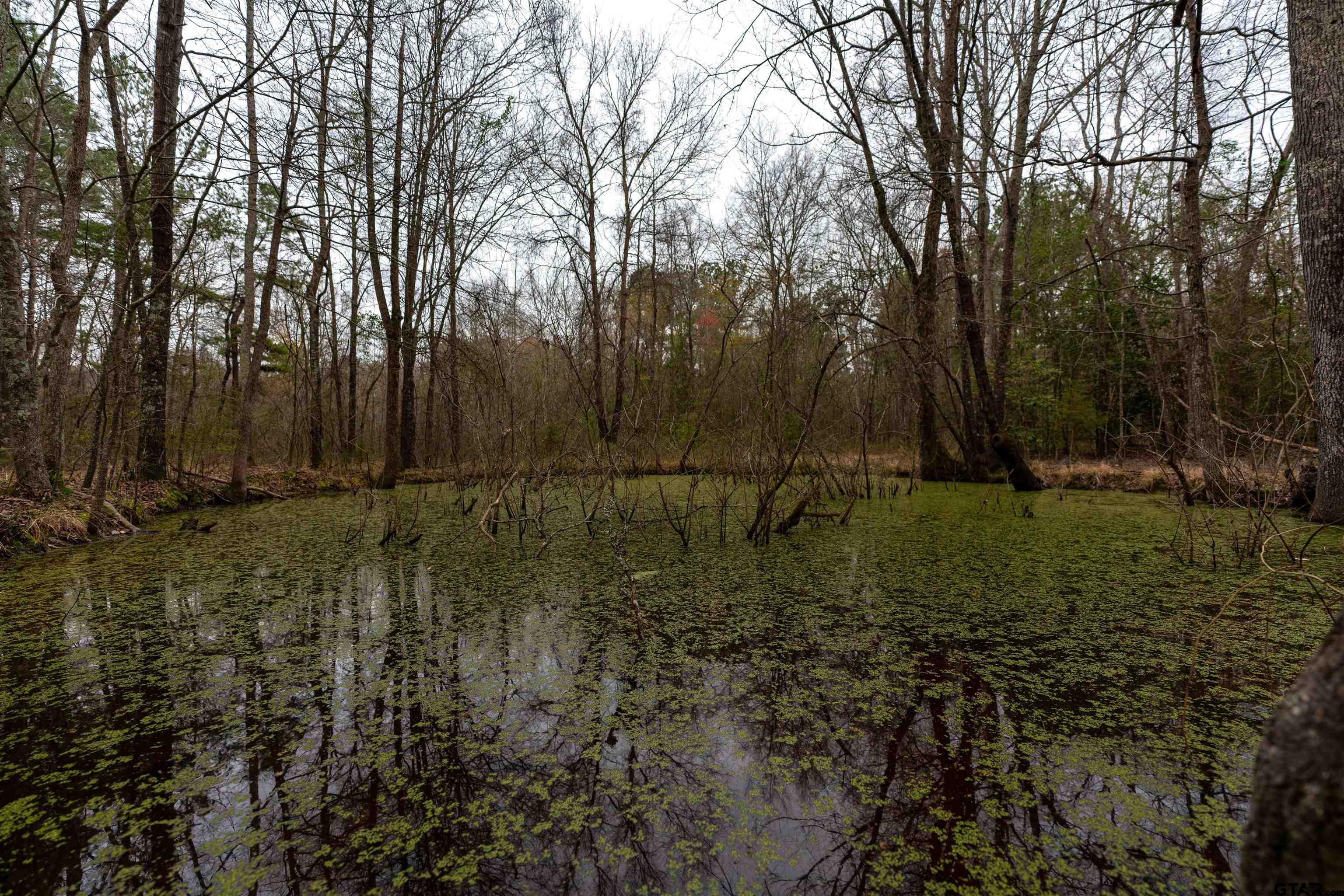 Tbd Central Road Property Photo 4