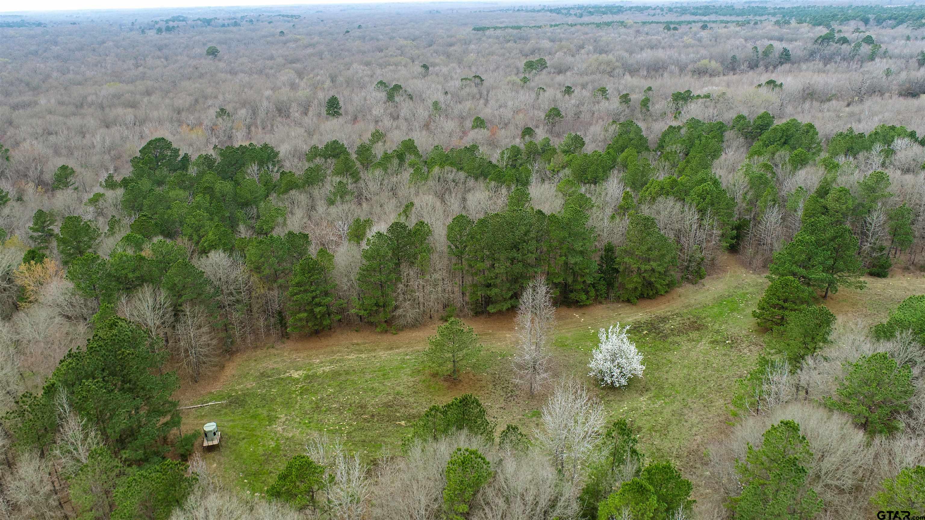 Tbd Central Road Property Photo 10