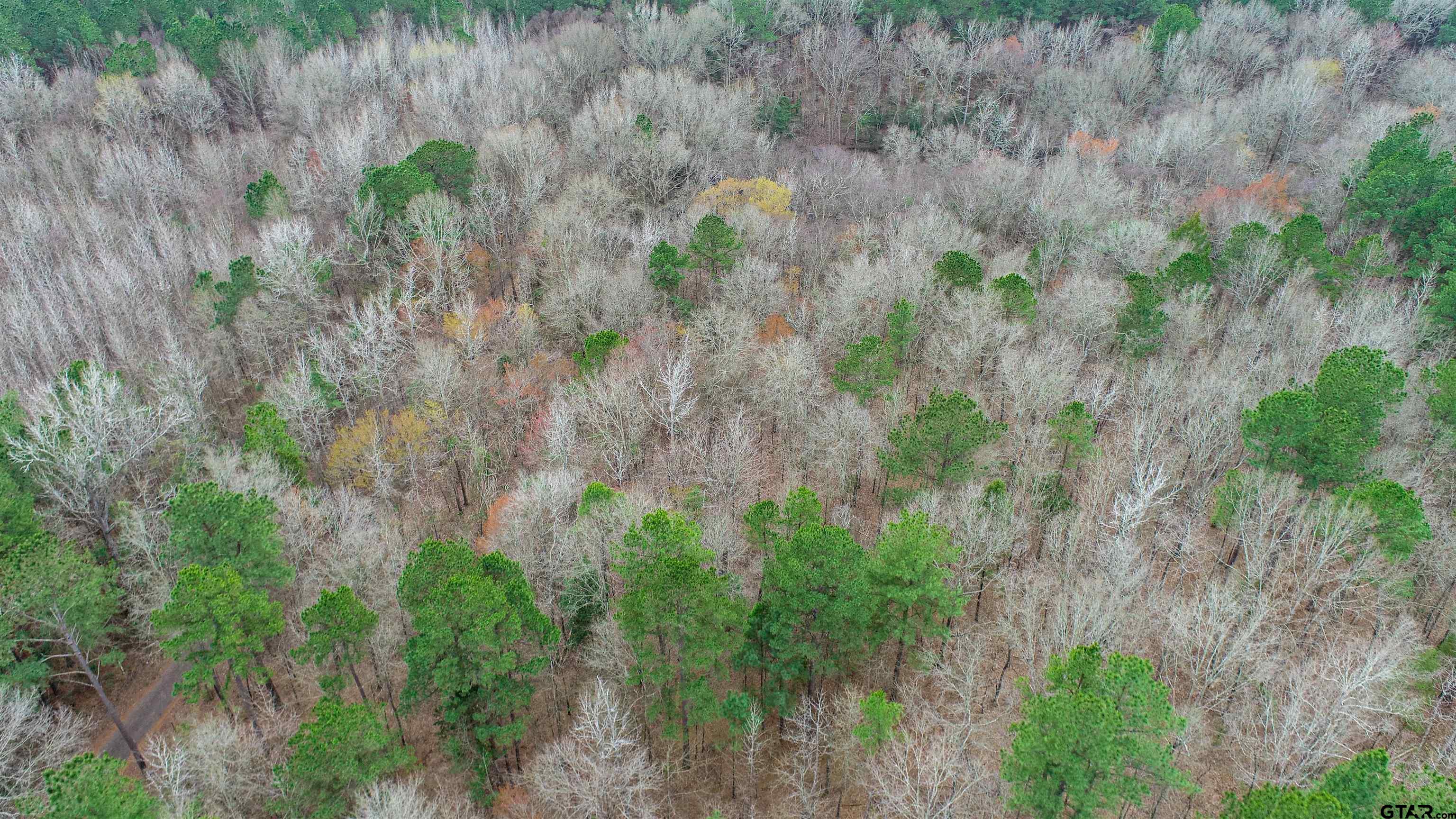 Tbd Central Road Property Photo 12