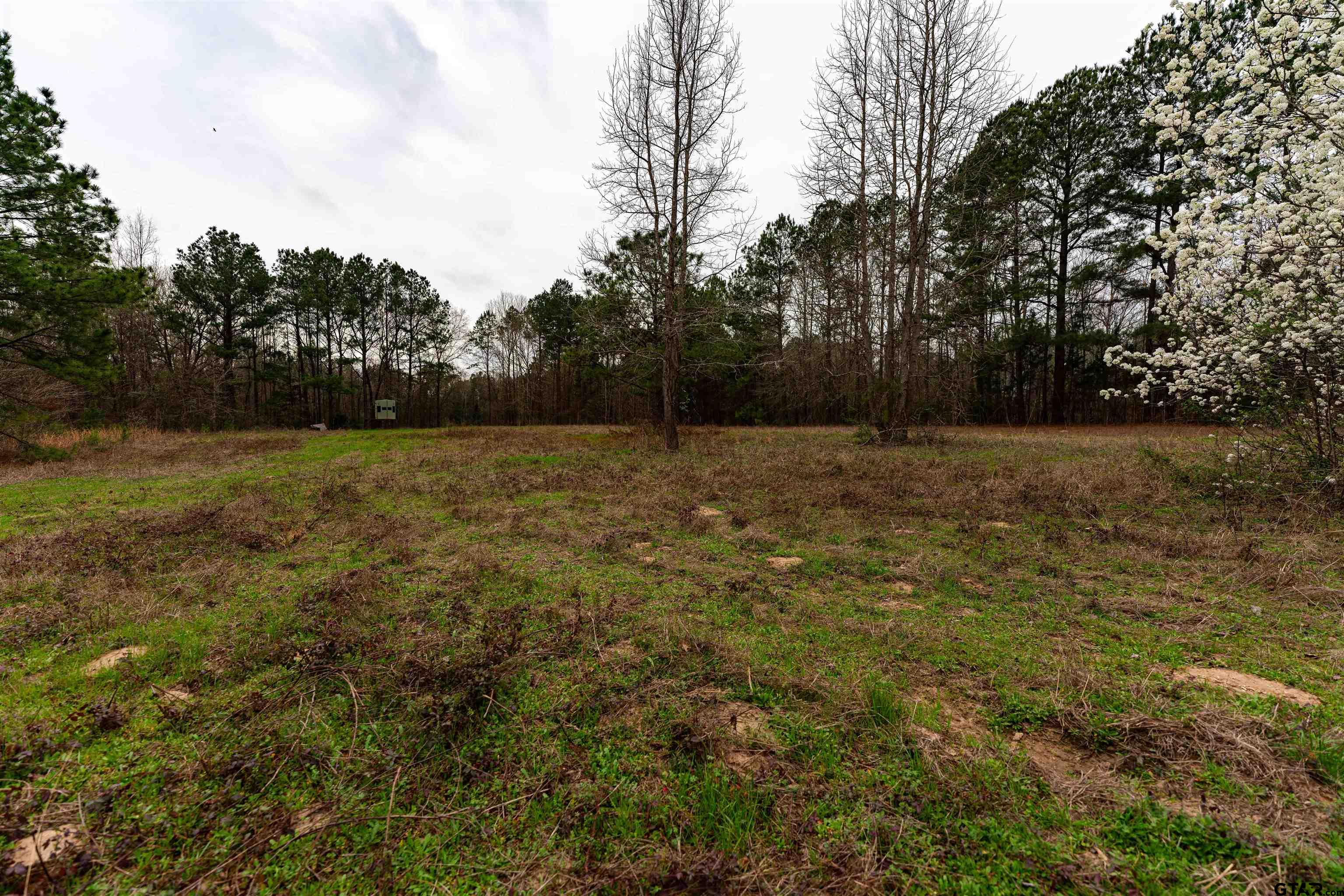 Tbd Central Road Property Photo 13