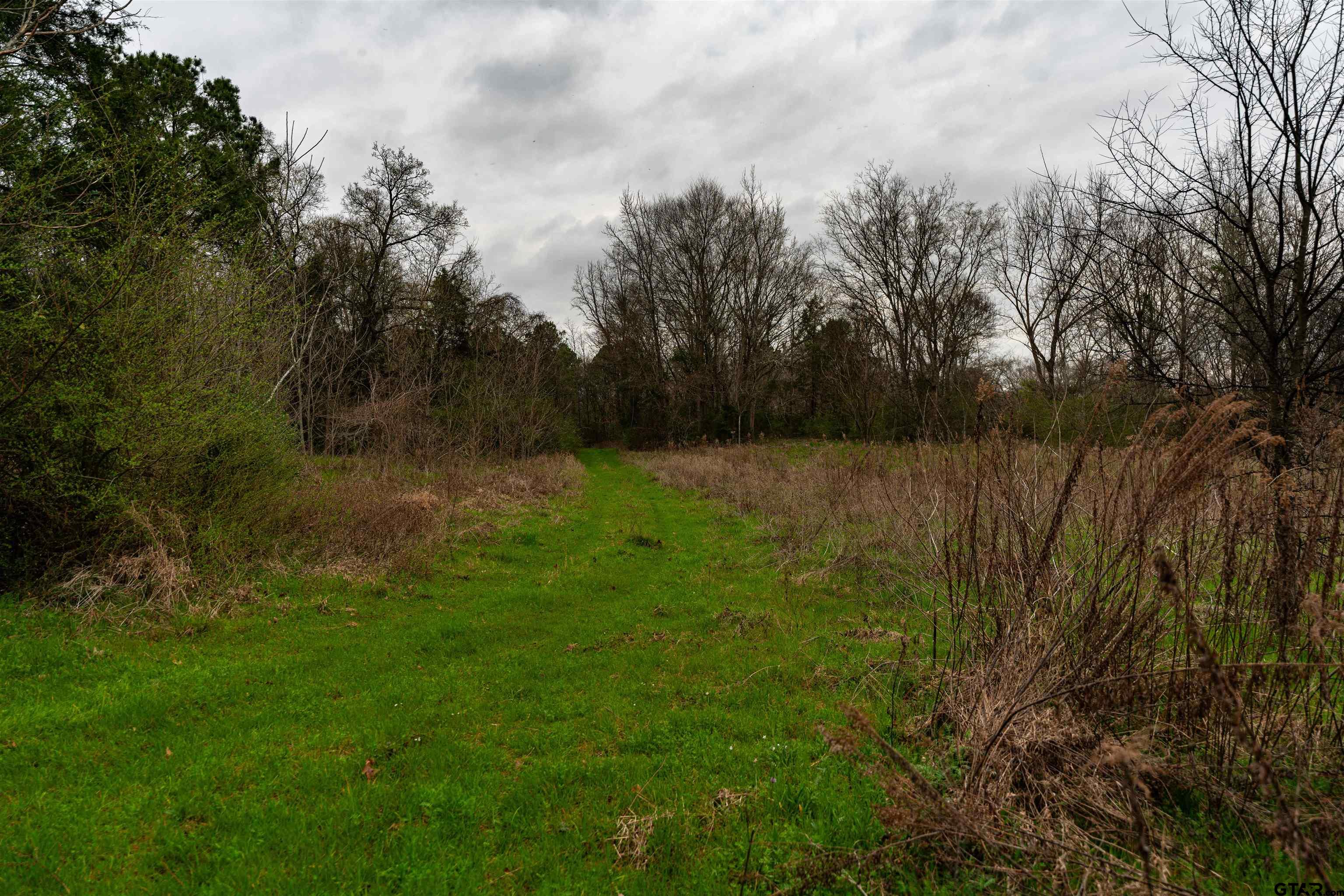 Tbd Central Road Property Photo 14